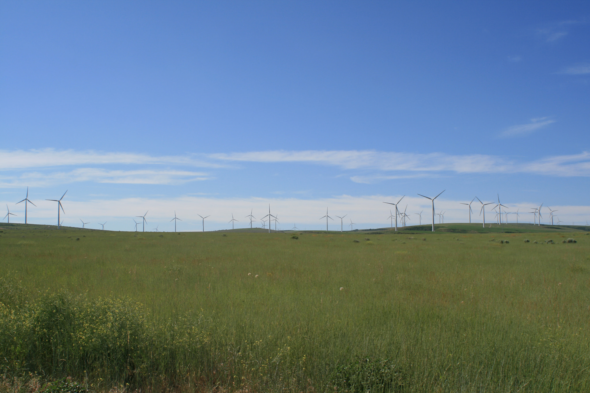 Canon EOS 400D (EOS Digital Rebel XTi / EOS Kiss Digital X) + Canon EF 28-80mm f/3.5-5.6 sample photo. E idaho windmill farm photography