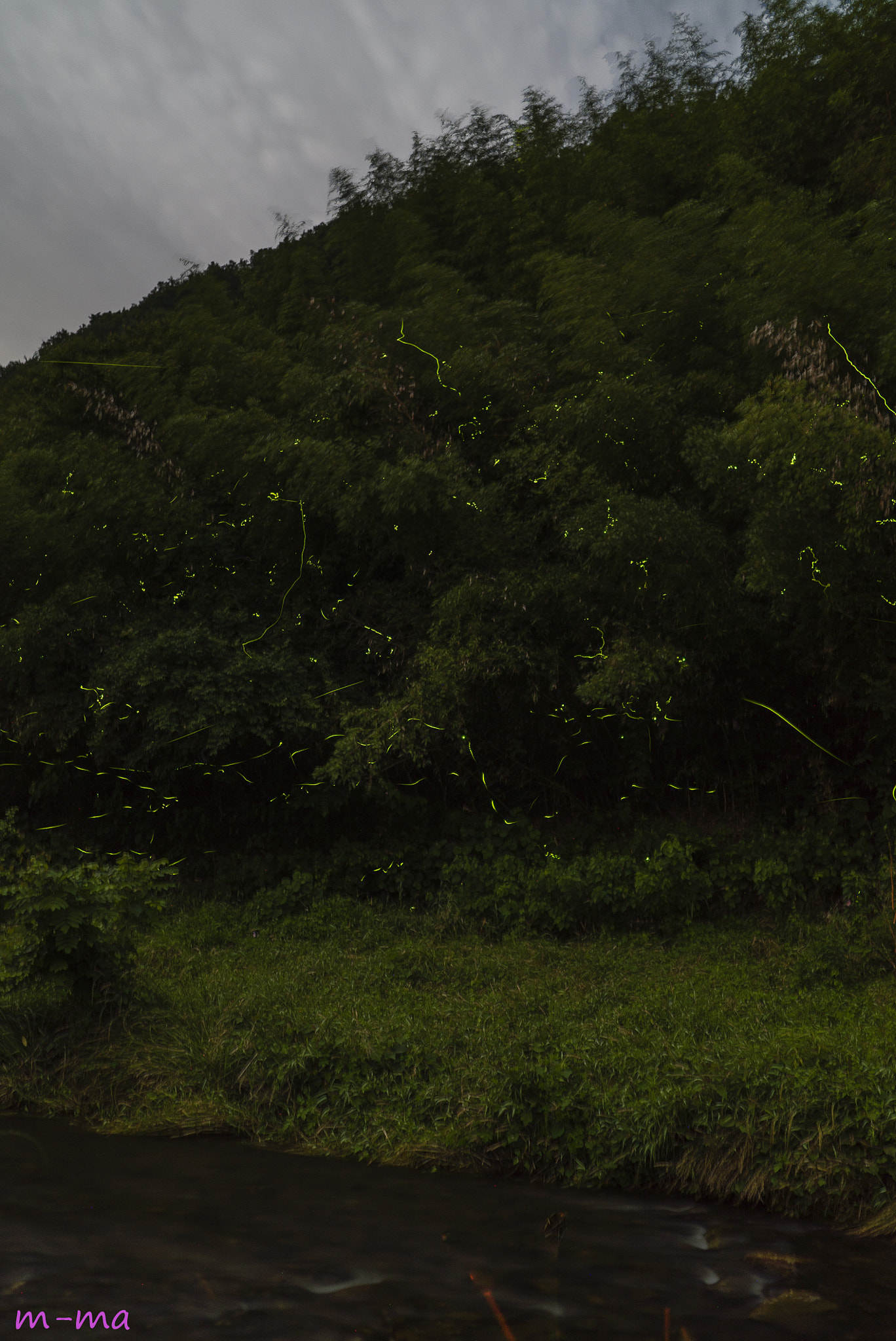 Sony a7S + Sony Distagon T* FE 35mm F1.4 ZA sample photo. Hokubo firefly photography