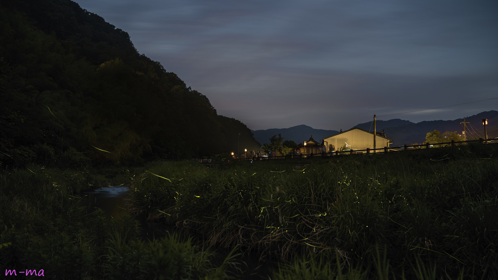 Sony a7S + Sony Distagon T* FE 35mm F1.4 ZA sample photo. Firefly of hokubo 3 photography