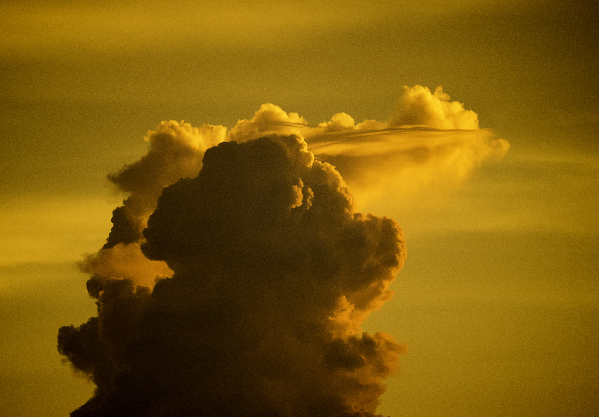 Nikon AF-S Nikkor 800mm F5.6E FL ED VR sample photo. Portrait of a cloud photography