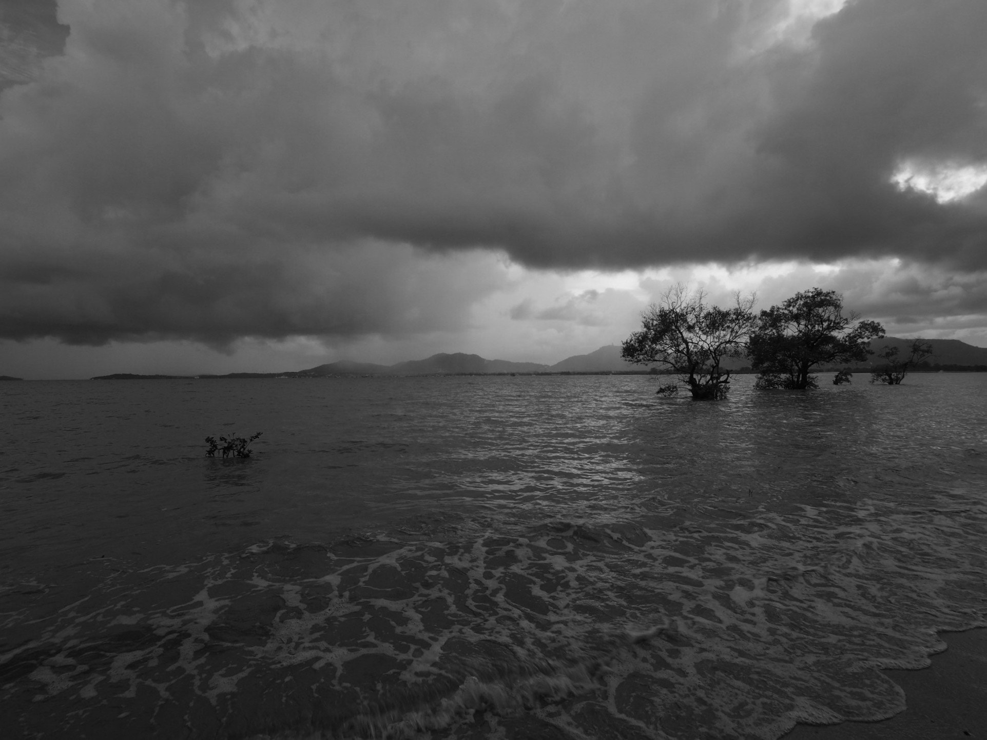 Olympus OM-D E-M10 II + OLYMPUS M.9-18mm F4.0-5.6 sample photo. How do you feel?#photograph #landscape #seascape#phuket #thailand #travel #monochrome#rainy_day photography