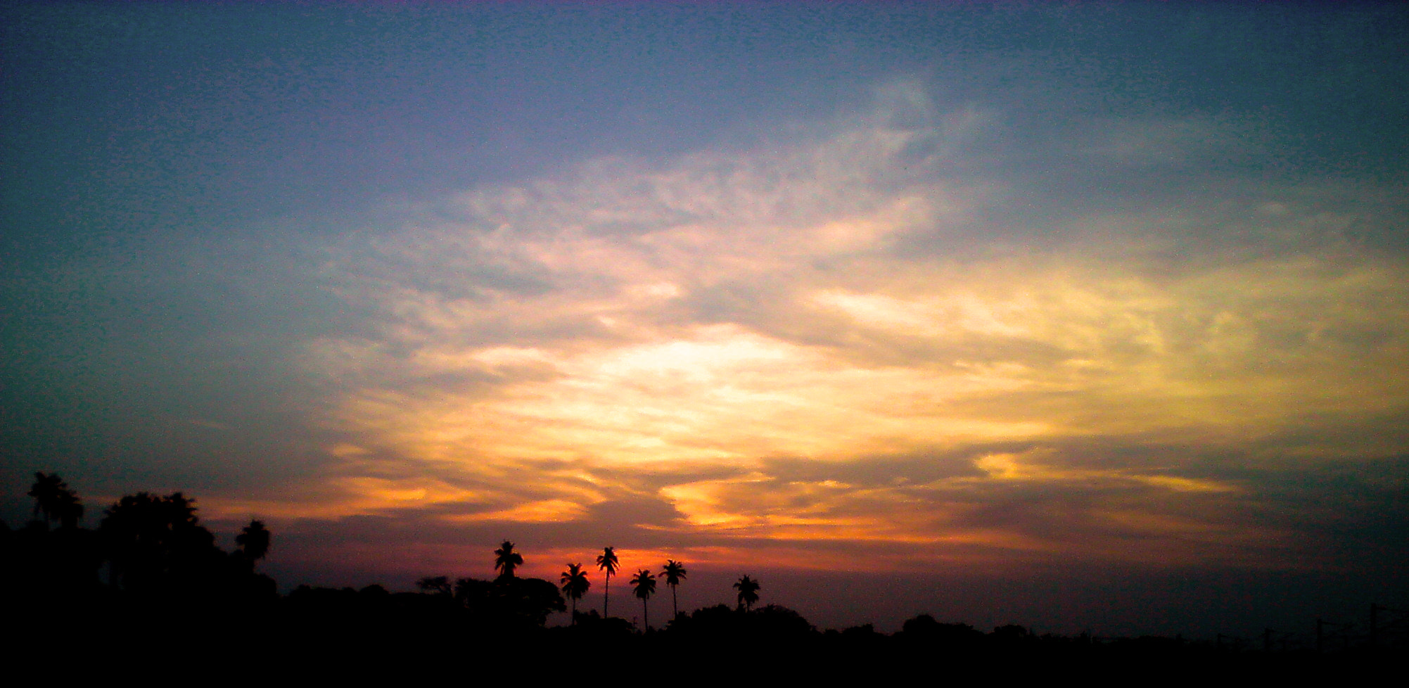 Sony Ericsson C510 sample photo. Beautiful shadows photography