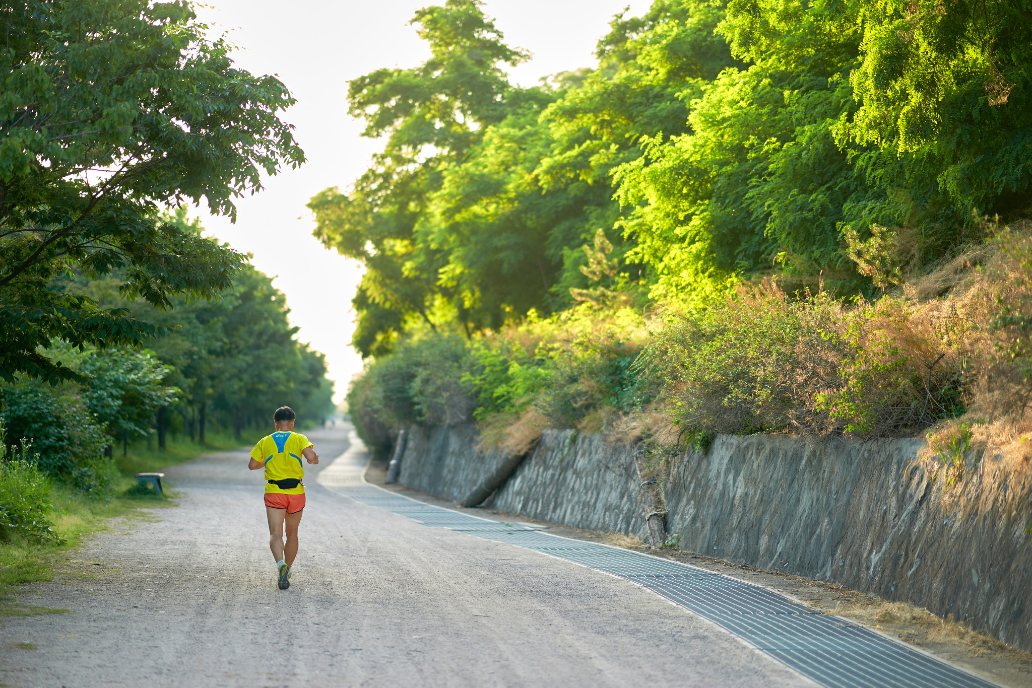 Sony a7 + Sony FE 85mm F1.4 GM sample photo. Run photography
