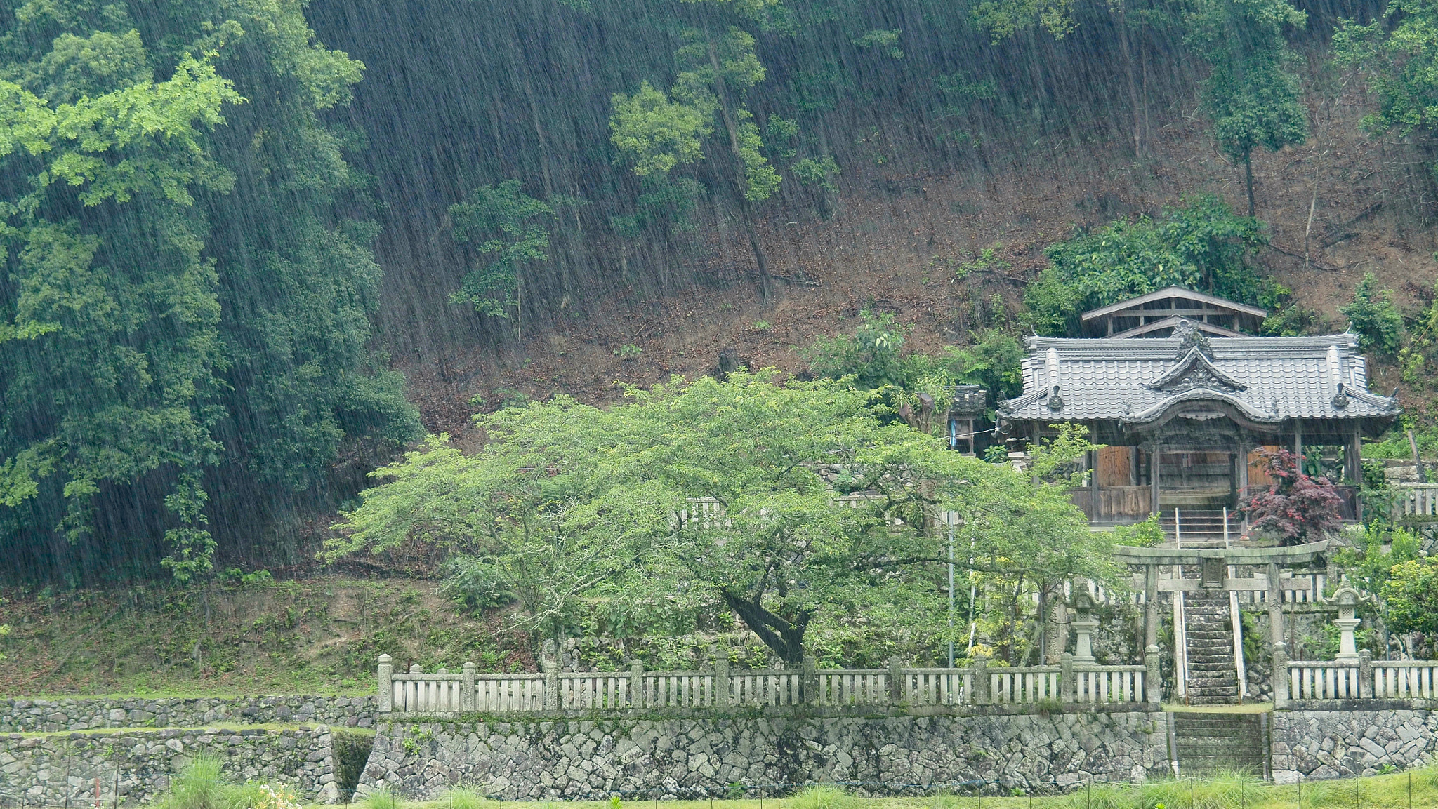 Olympus M.Zuiko Digital ED 14-150mm F4-5.6 sample photo. Rainy day in yanocho photography