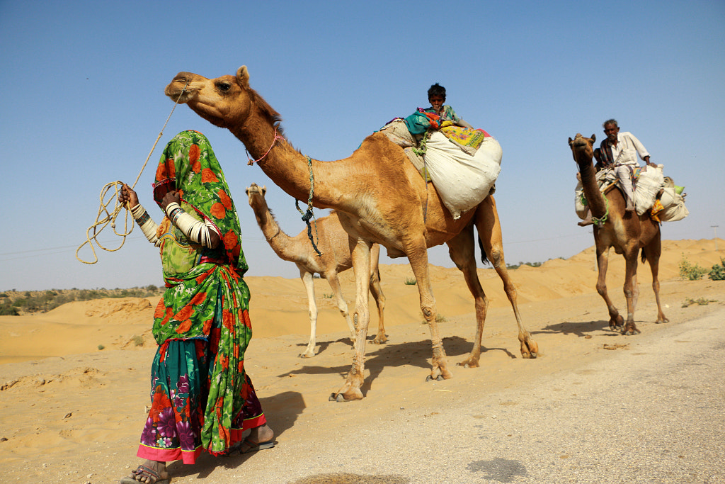 Migration due to drought in Thar by Manoj Kumar on 500px.com