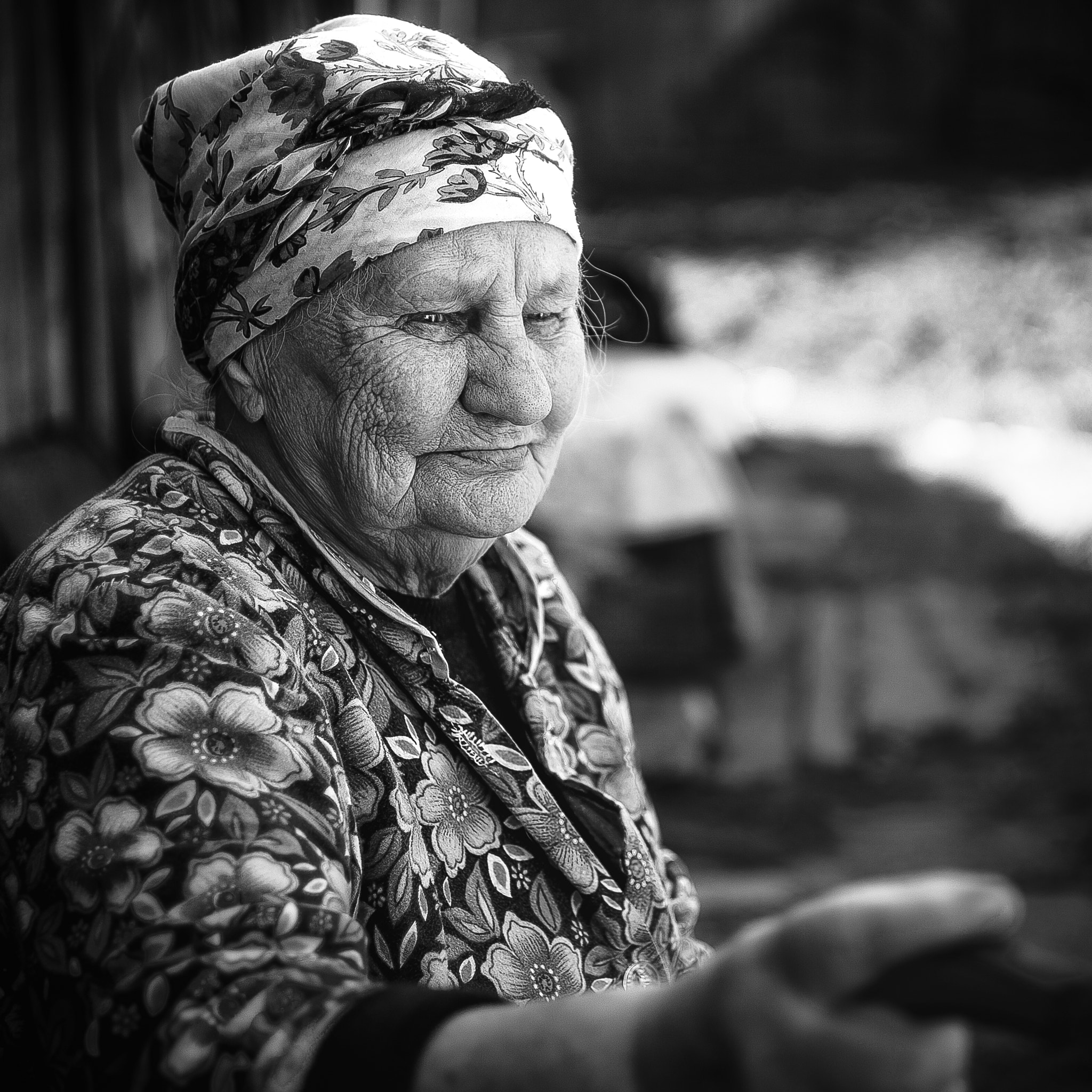 Canon EF 50mm F2.5 Macro sample photo. Granny photography