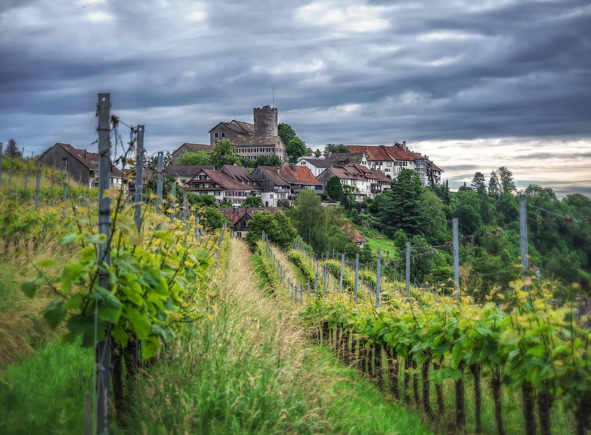 Panasonic Lumix DMC-GX7 sample photo. Regensberg photography