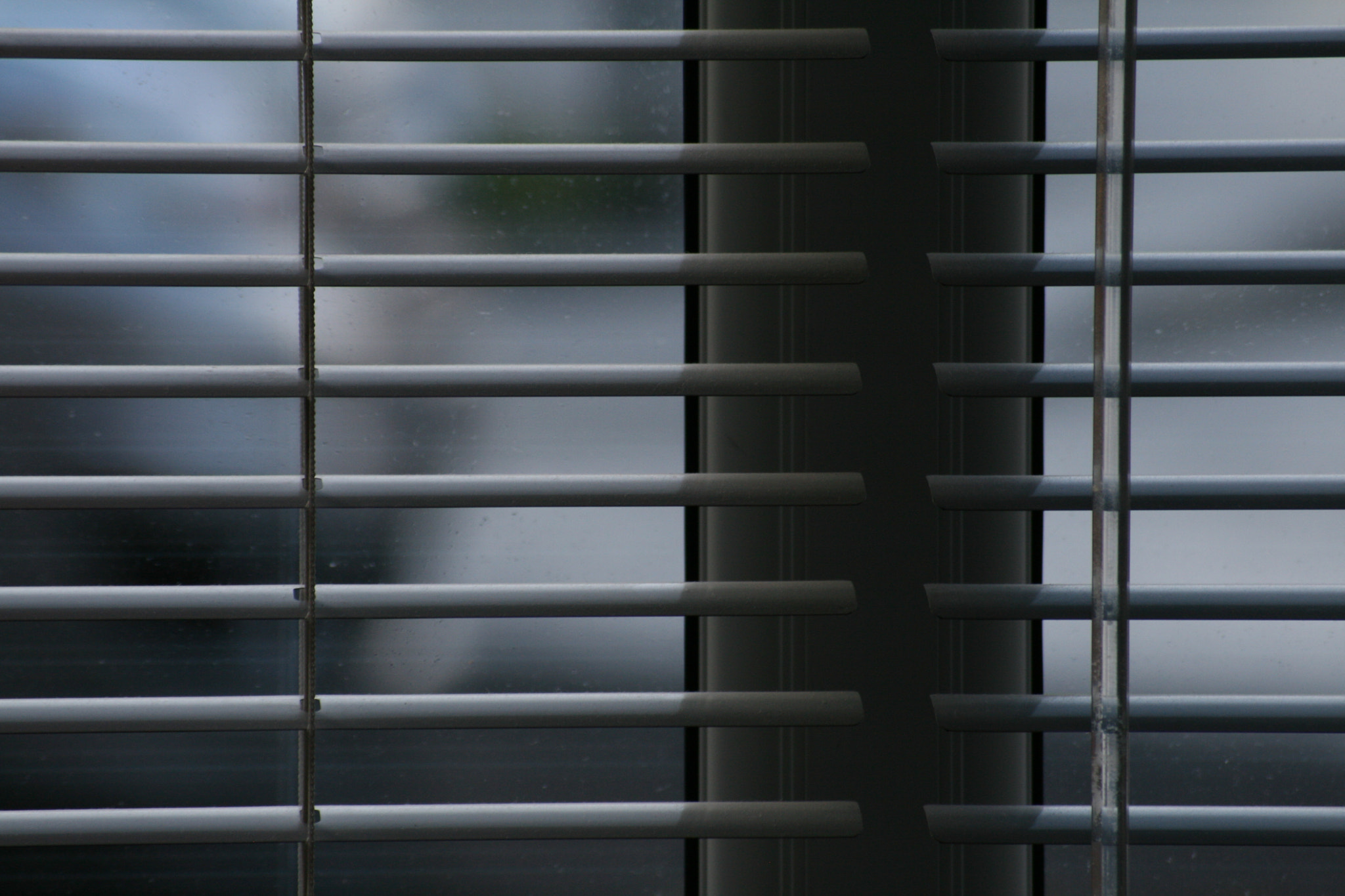 Sigma 55-200mm f/4-5.6 DC sample photo