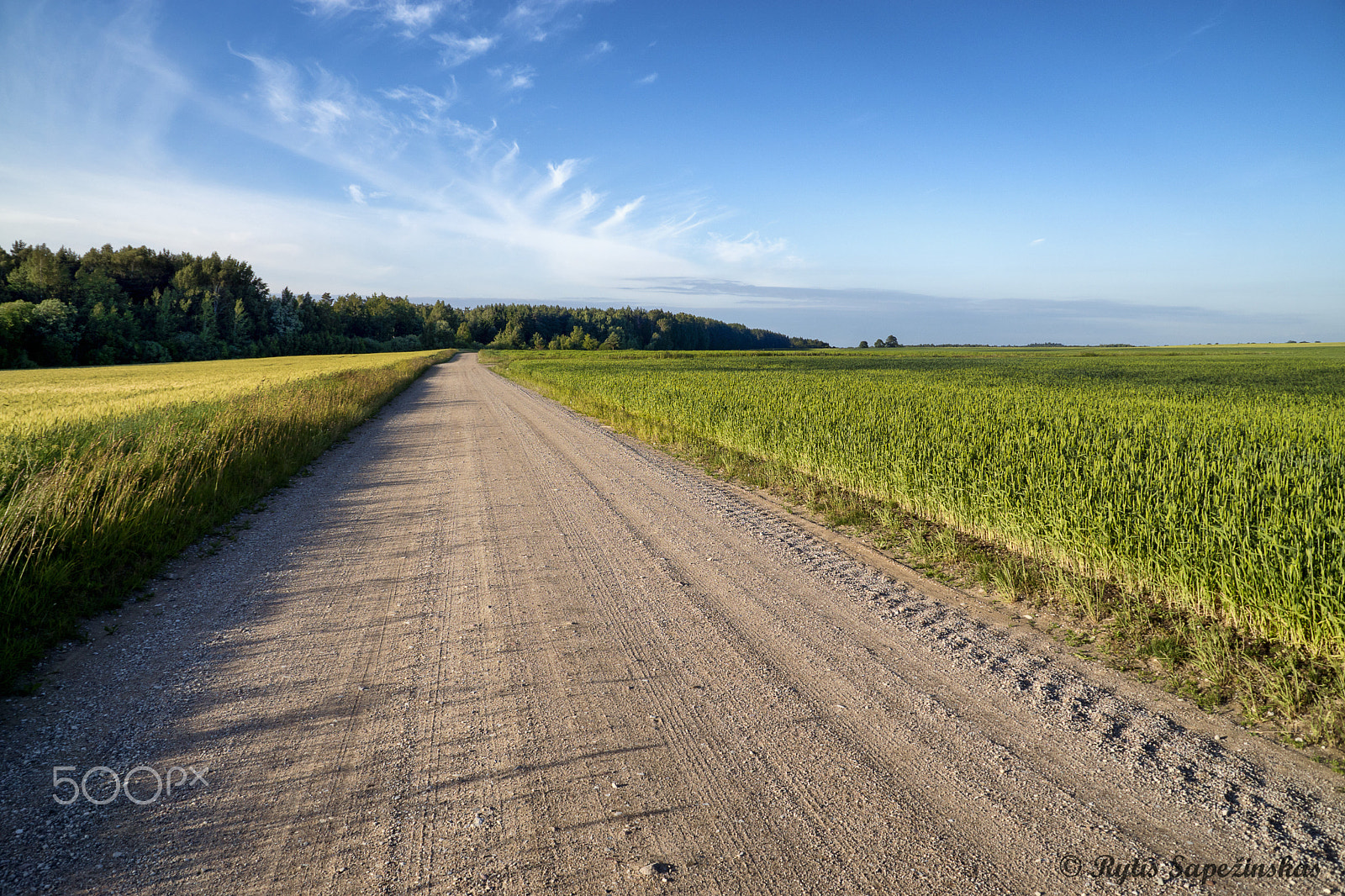 Sony DT 18-200mm F3.5-6.3 sample photo. Road photography