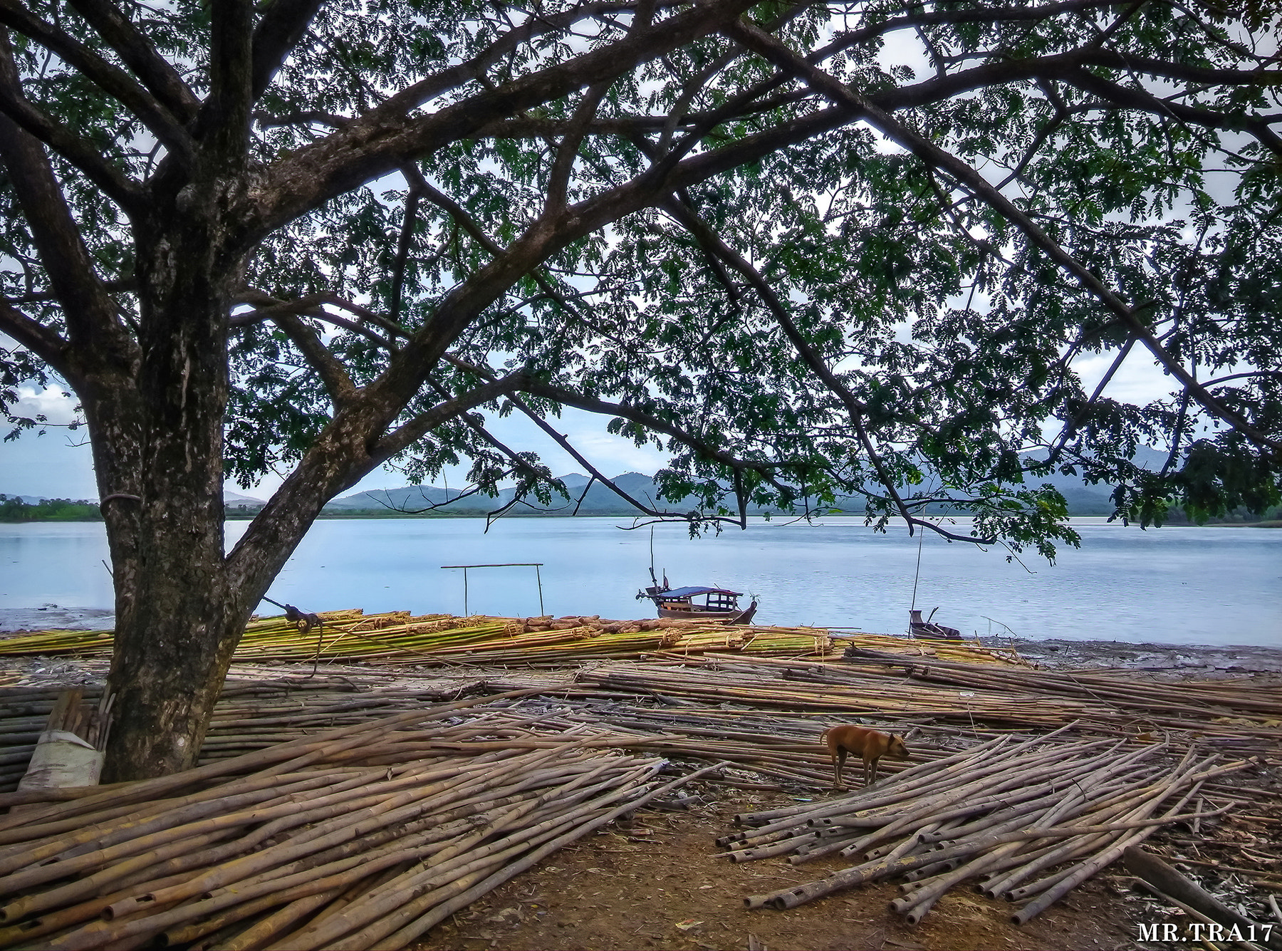 Xiaomi MI3 sample photo. Untitled photography