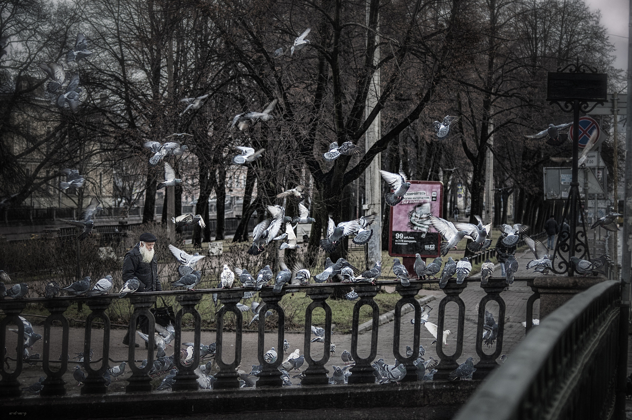 Nikon D50 + AF Nikkor 70-210mm f/4-5.6 sample photo. Man and birds photography