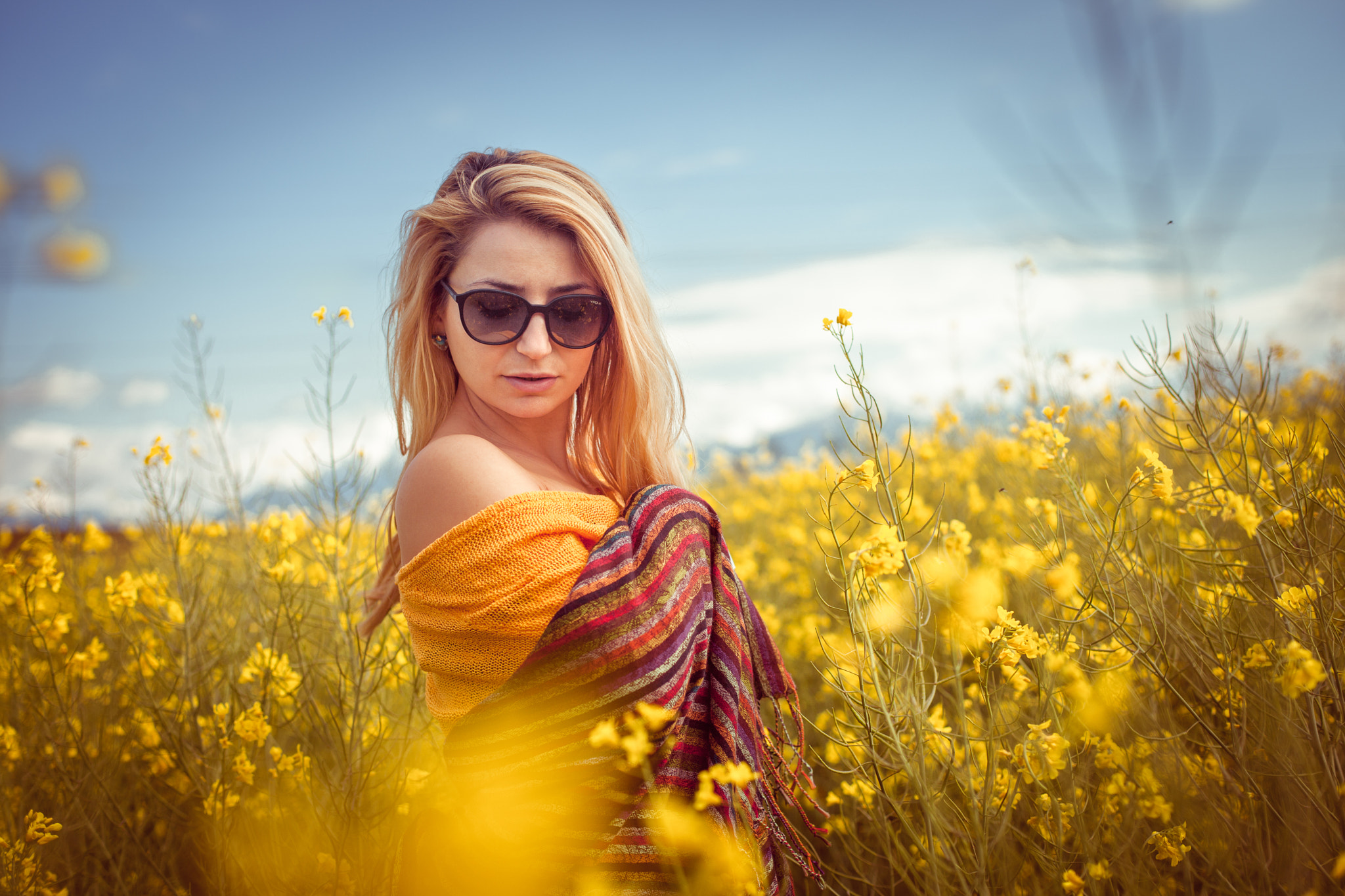 Canon EOS 5D Mark II + Canon EF 50mm F1.4 USM sample photo. Fields of gold photography