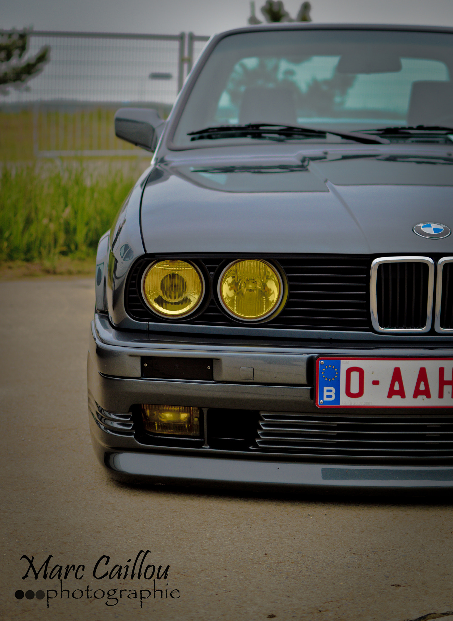 Nikon D3200 + Nikon AF Nikkor 105mm F2D DC sample photo. 20160529-dsc_0119.jpg photography