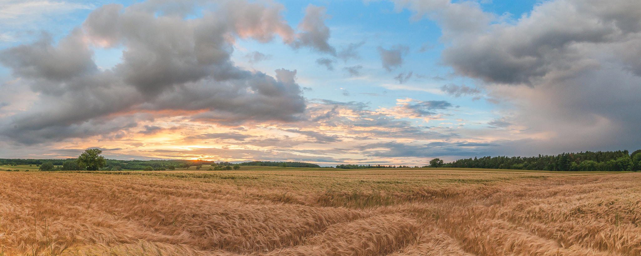 Tamron SP 24-70mm F2.8 Di VC USD sample photo. Sunset in alsace photography
