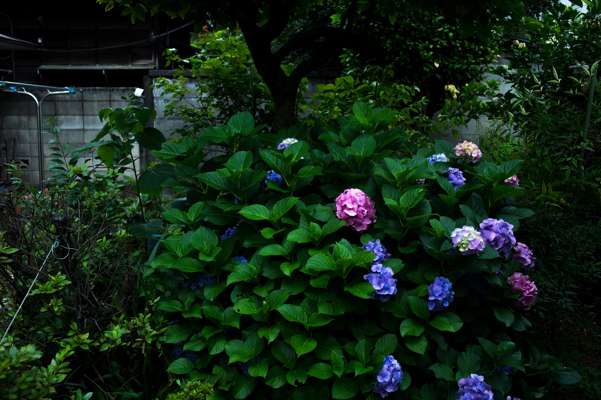 Nikon Df + Nikon AF Nikkor 35mm F2D sample photo. Dsc_6668.jpg photography