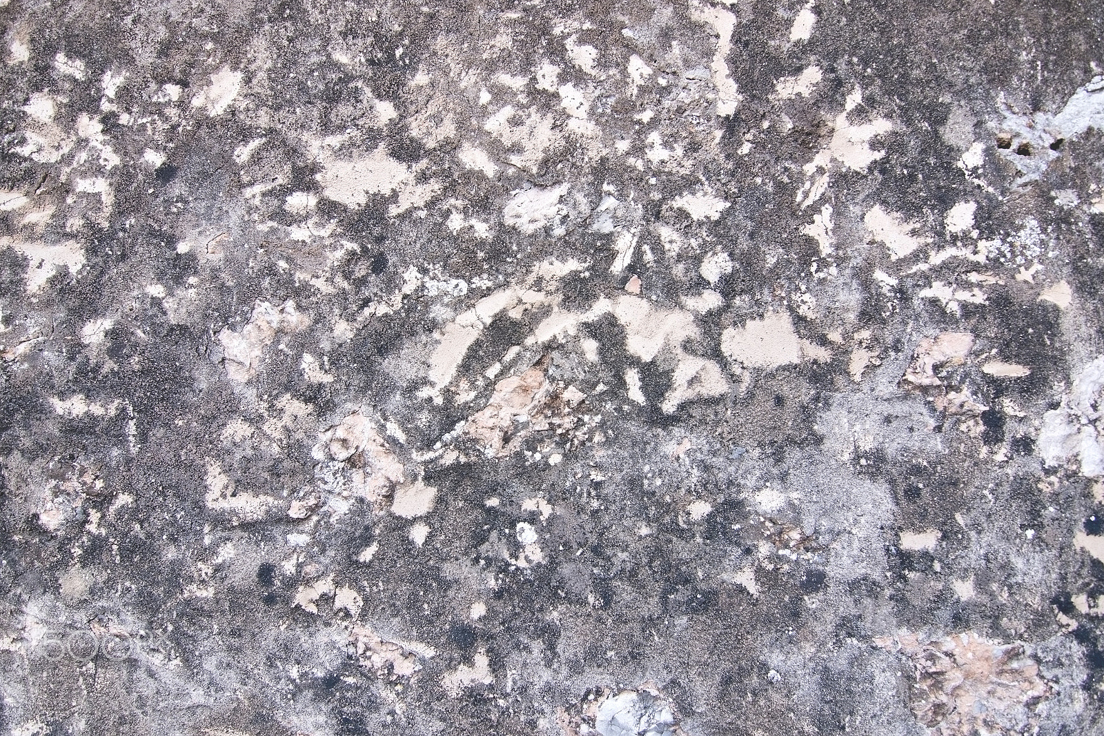 AF Zoom-Nikkor 24-120mm f/3.5-5.6D IF sample photo. Stone or concrete abstract background wall photography