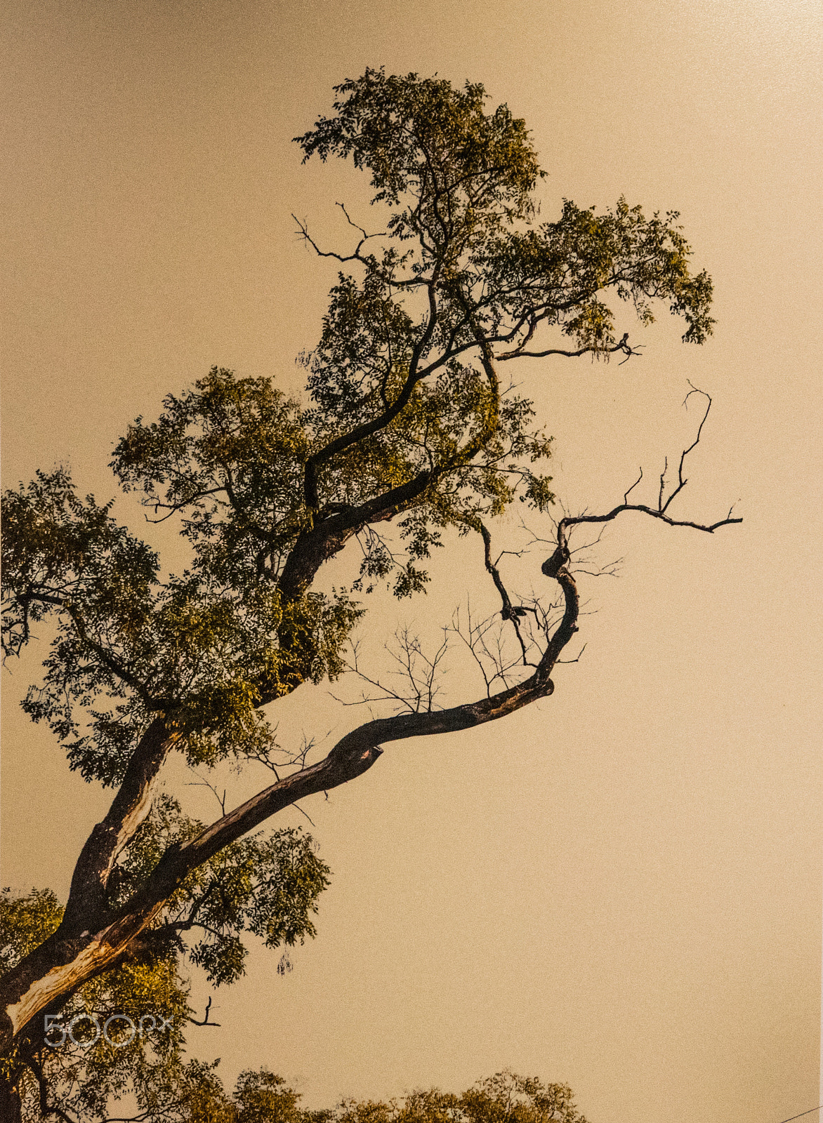 Nikon D750 + Sigma 18-35mm F1.8 DC HSM Art sample photo. Dsc_2142.jpg photography