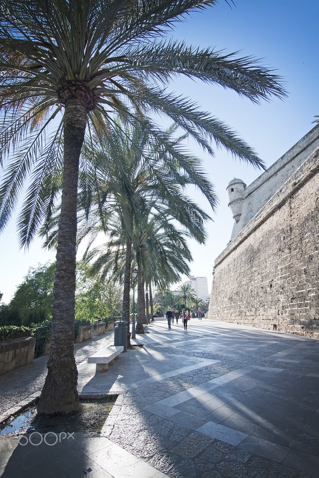 FSA-L2, EDG 65, 800mm F13 G sample photo. Es baluard medieval tower photography