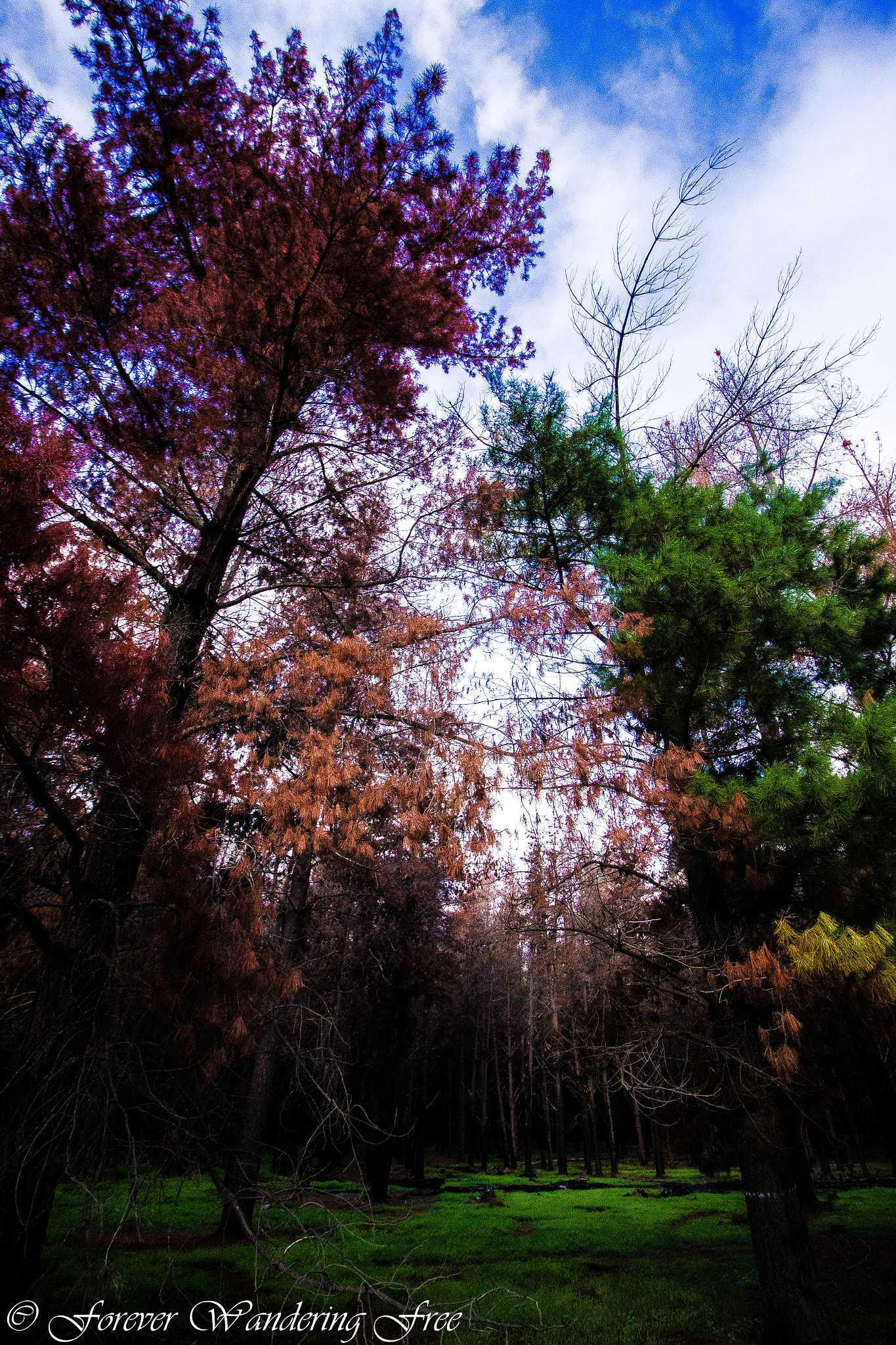 Canon EF-S 10-18mm F4.5–5.6 IS STM sample photo
