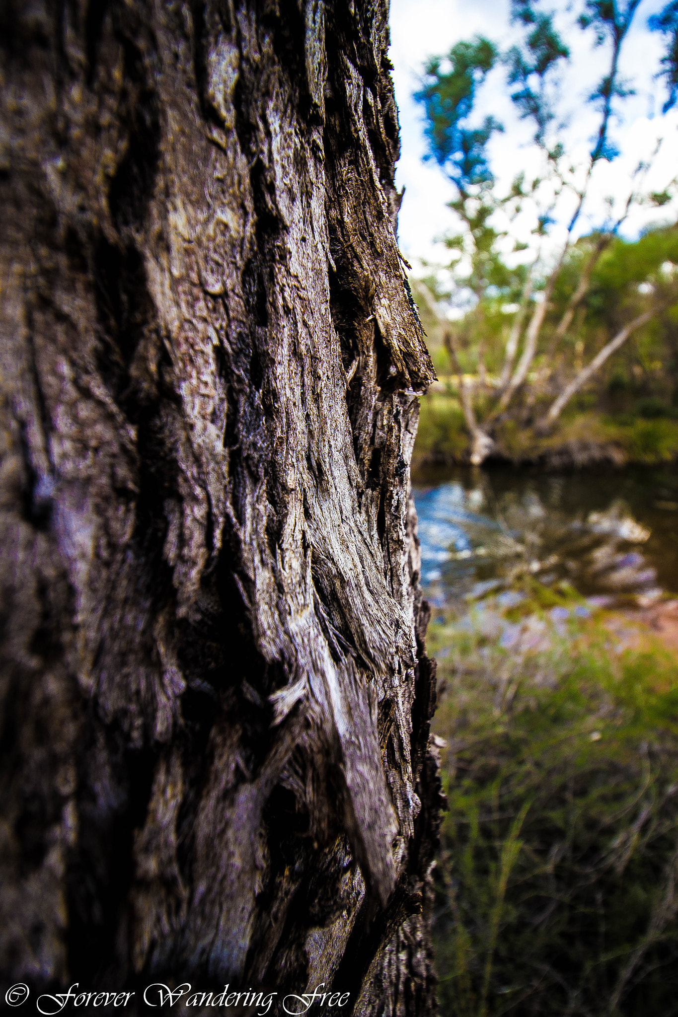 Canon EF-S 10-18mm F4.5–5.6 IS STM sample photo