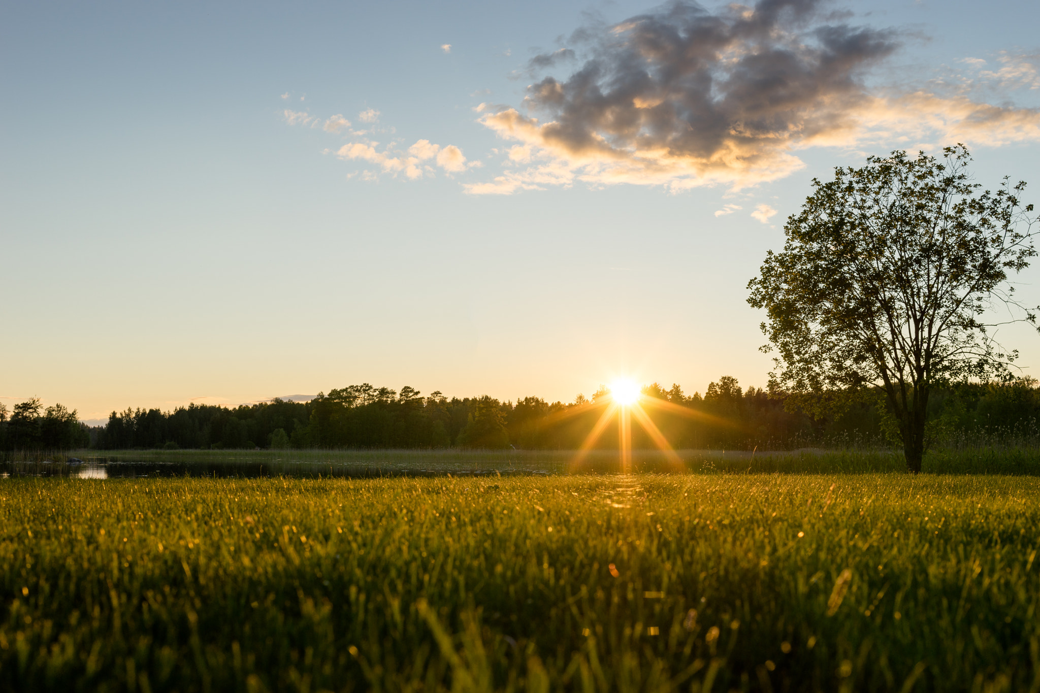 Sony a7 + E 50mm F2 sample photo. Sunset photography