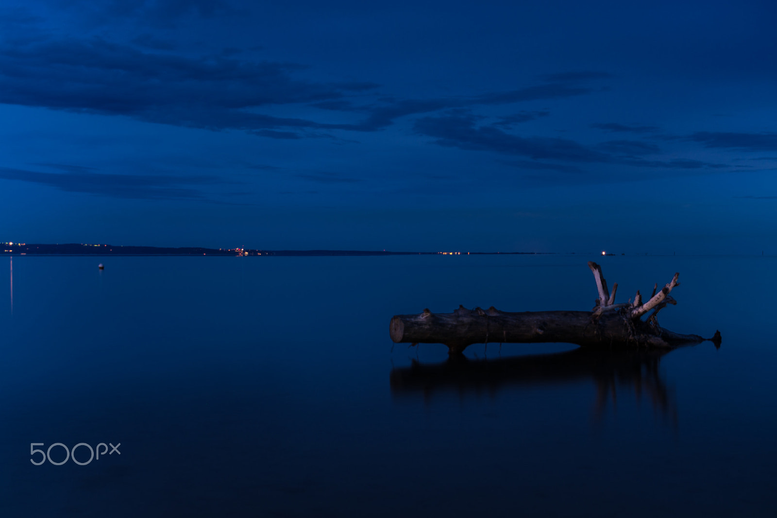 Nikon D5200 + Sigma 18-200mm F3.5-6.3 DC sample photo. Grado stamm / treetrunk 1 photography