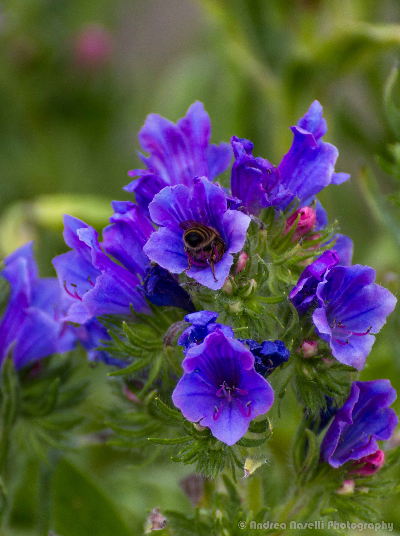 Tamron SP 35mm F1.8 Di VC USD sample photo. Deep blue photography