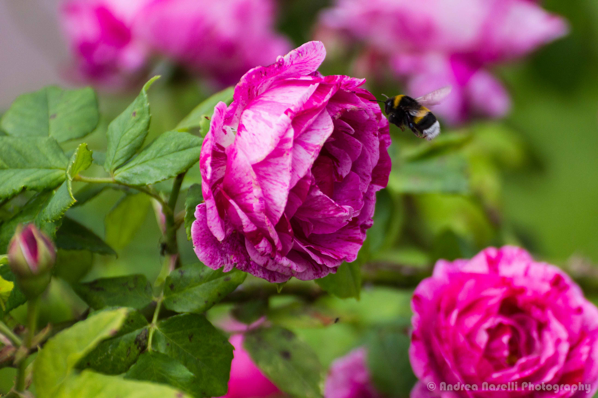 Tamron SP 35mm F1.8 Di VC USD sample photo. Prepare for landing photography