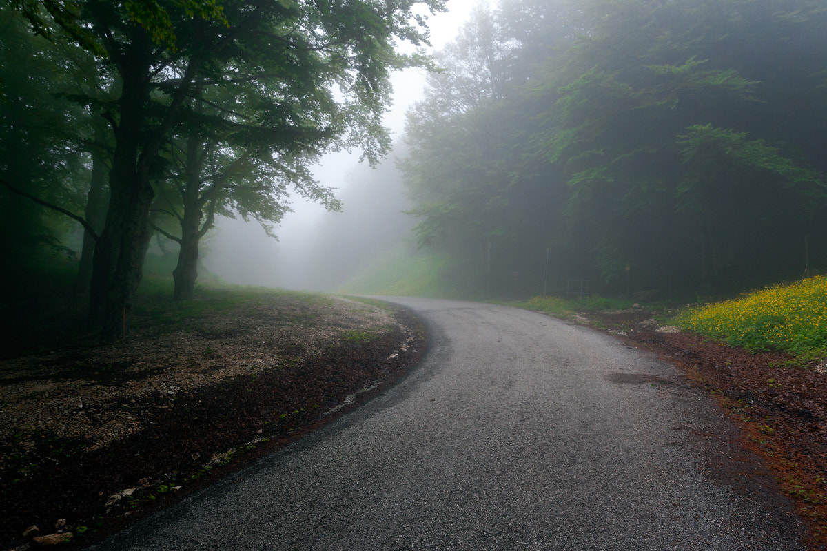 Canon EOS-1D Mark III sample photo. Towards unknown photography