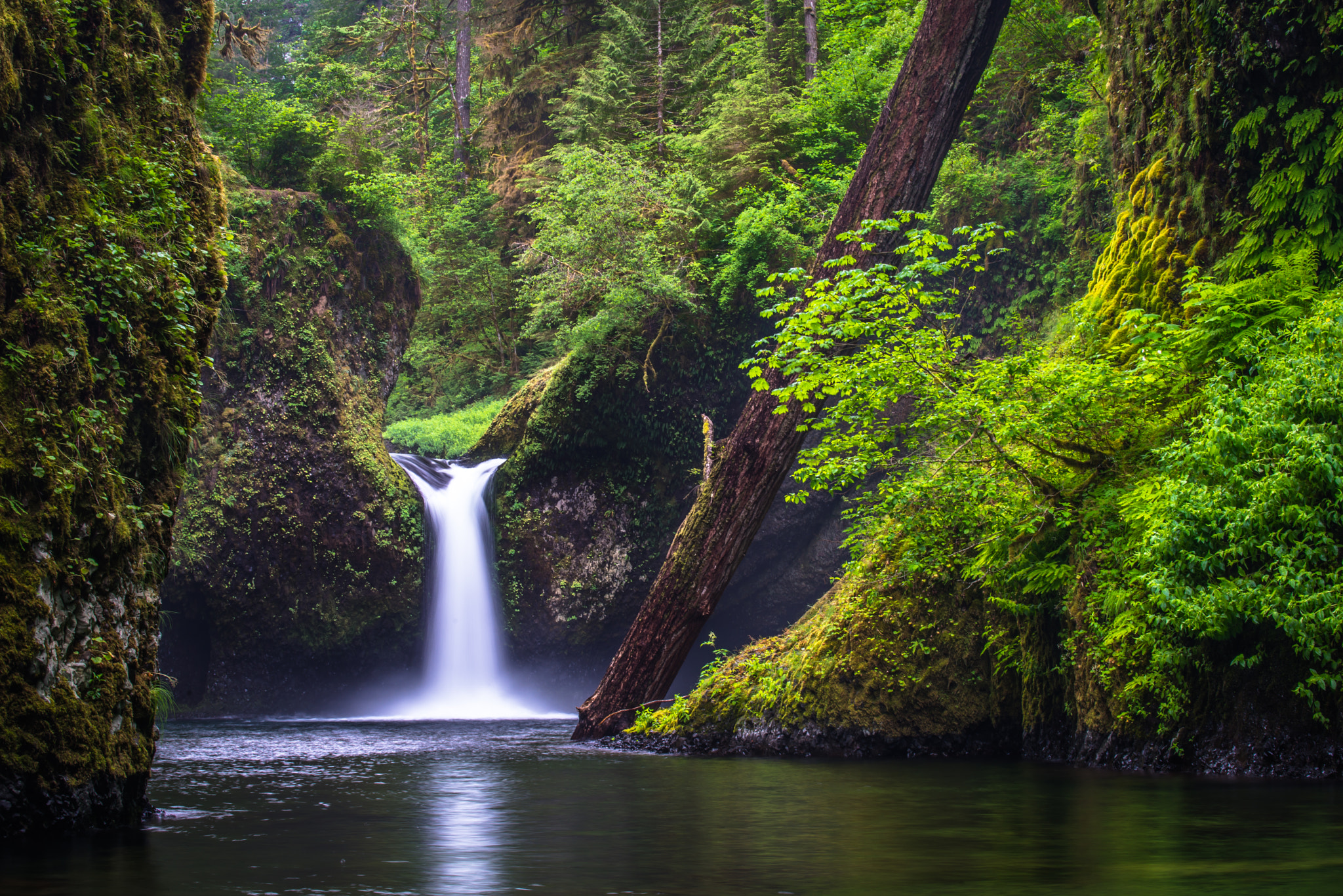 Nikon AF-S Nikkor 70-200mm F4G ED VR sample photo. Punchbowl photography