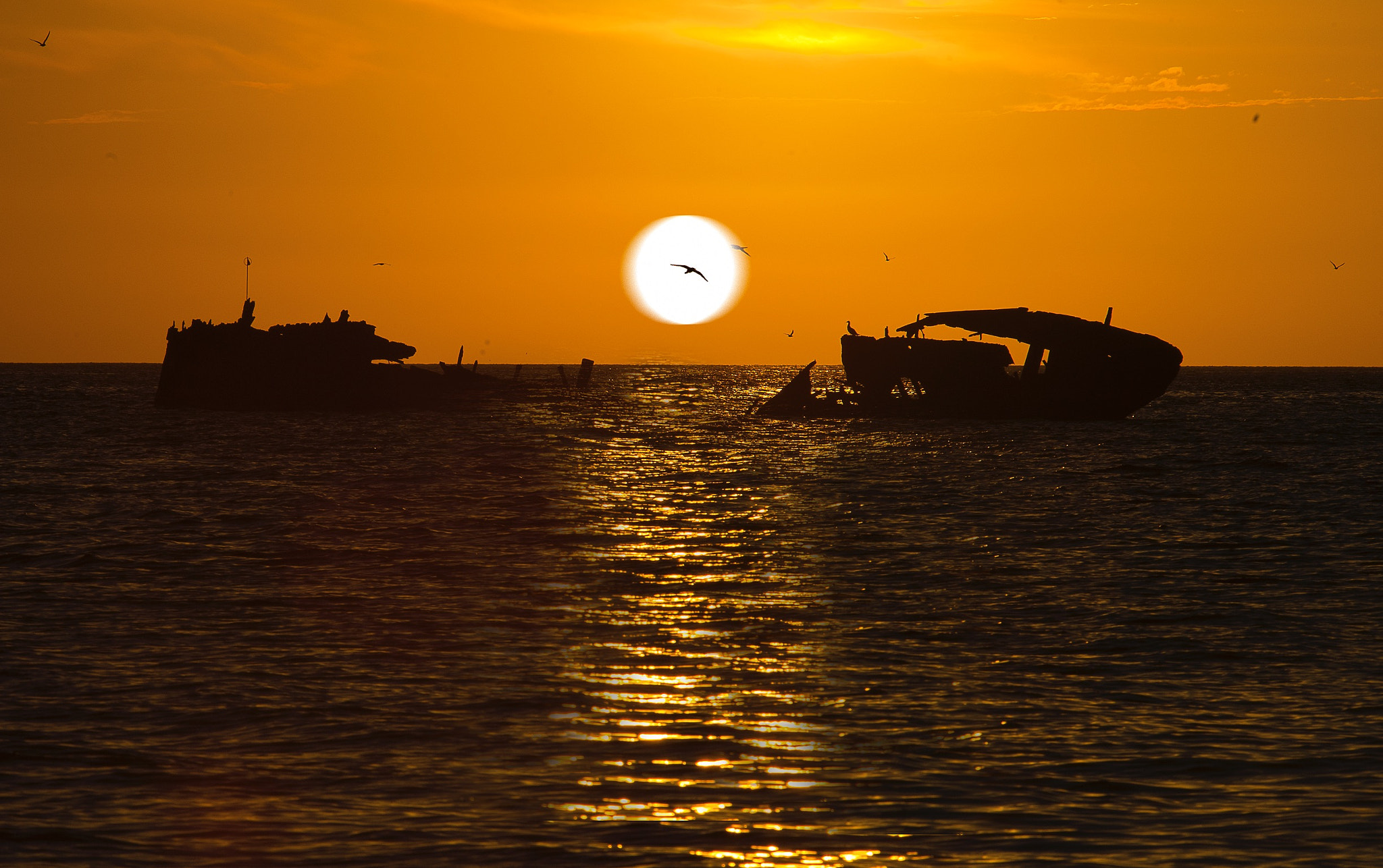 Nikon D3 sample photo. Protector sunset photography
