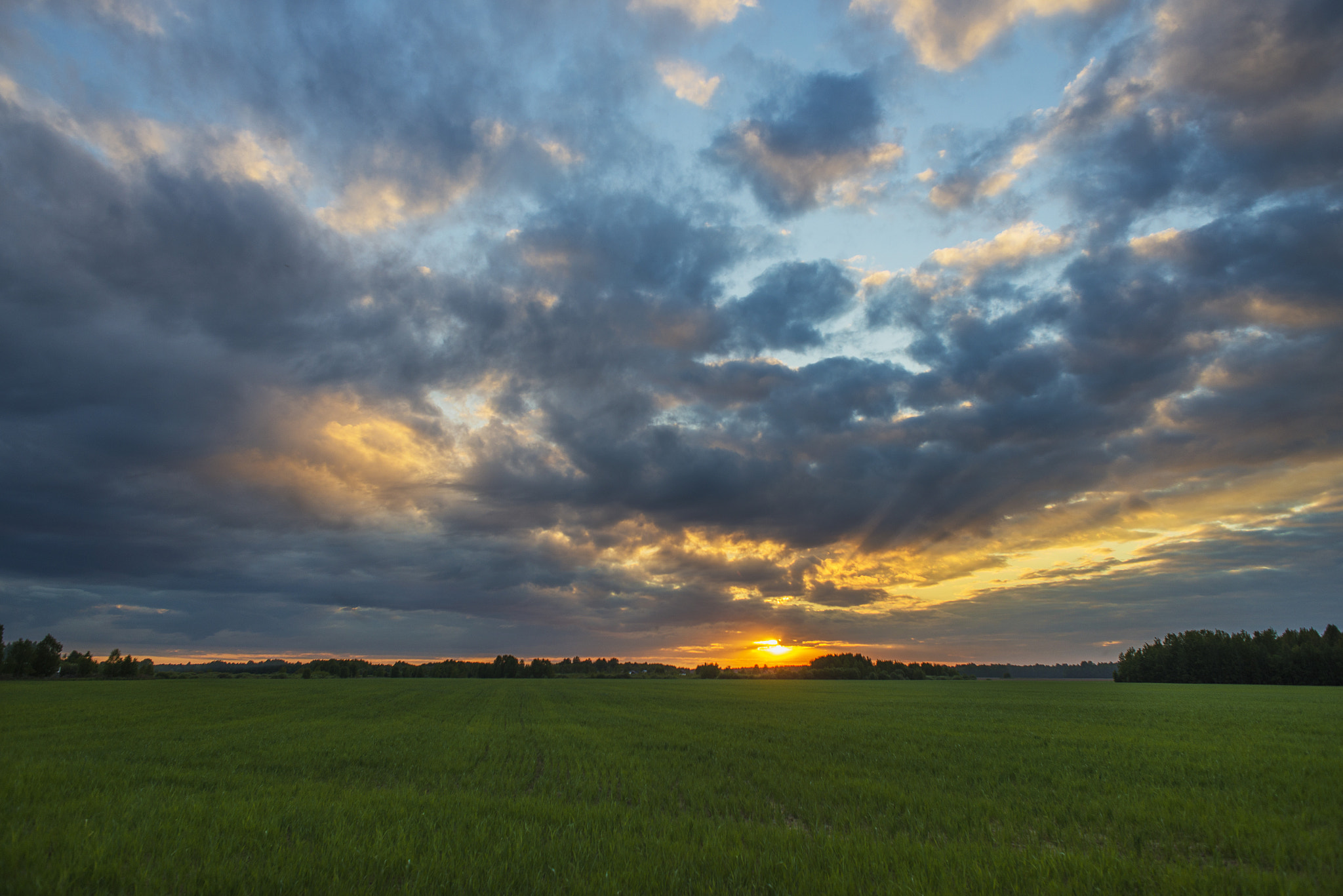 Nikon D600 + AF Nikkor 24mm f/2.8 sample photo. Закат photography