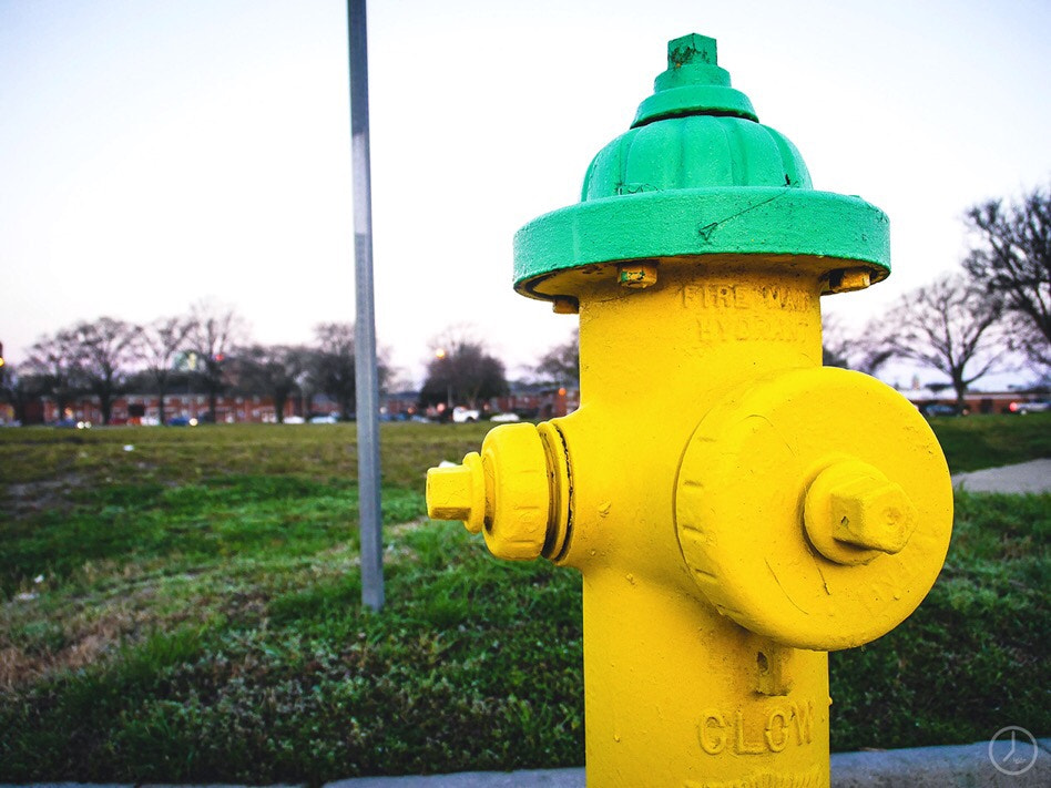 Tamron 14-150mm F3.5-5.8 Di III sample photo. Things yellow photography