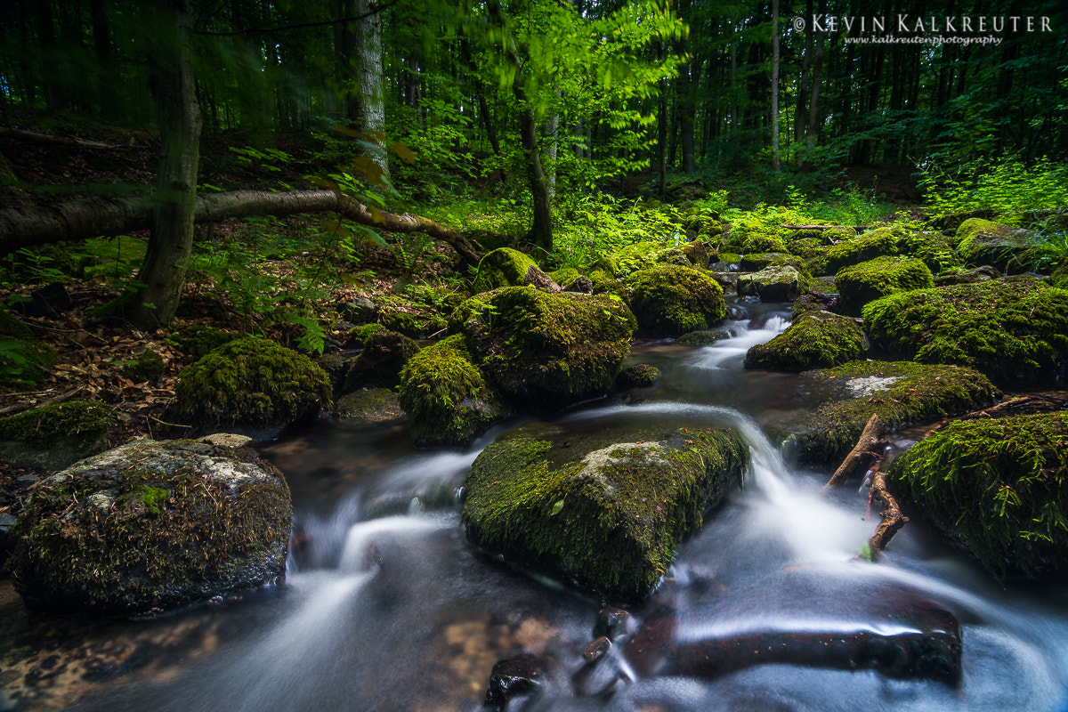 Tokina AT-X Pro 11-16mm F2.8 DX sample photo. Nature photography