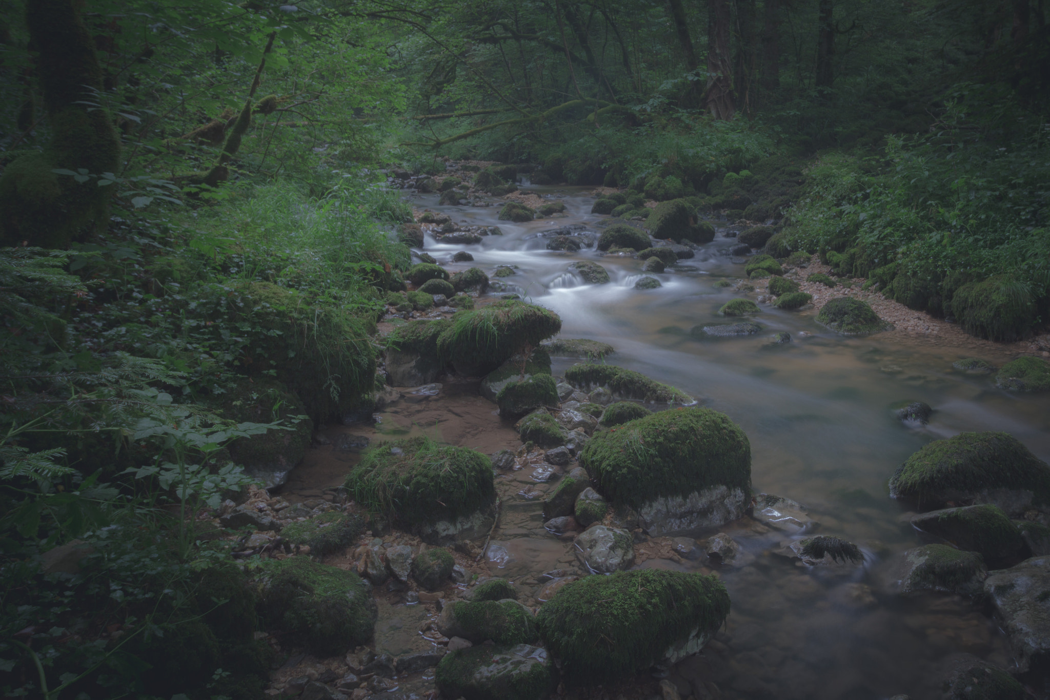Canon EF-S 10-18mm F4.5–5.6 IS STM sample photo. Pichoux photography