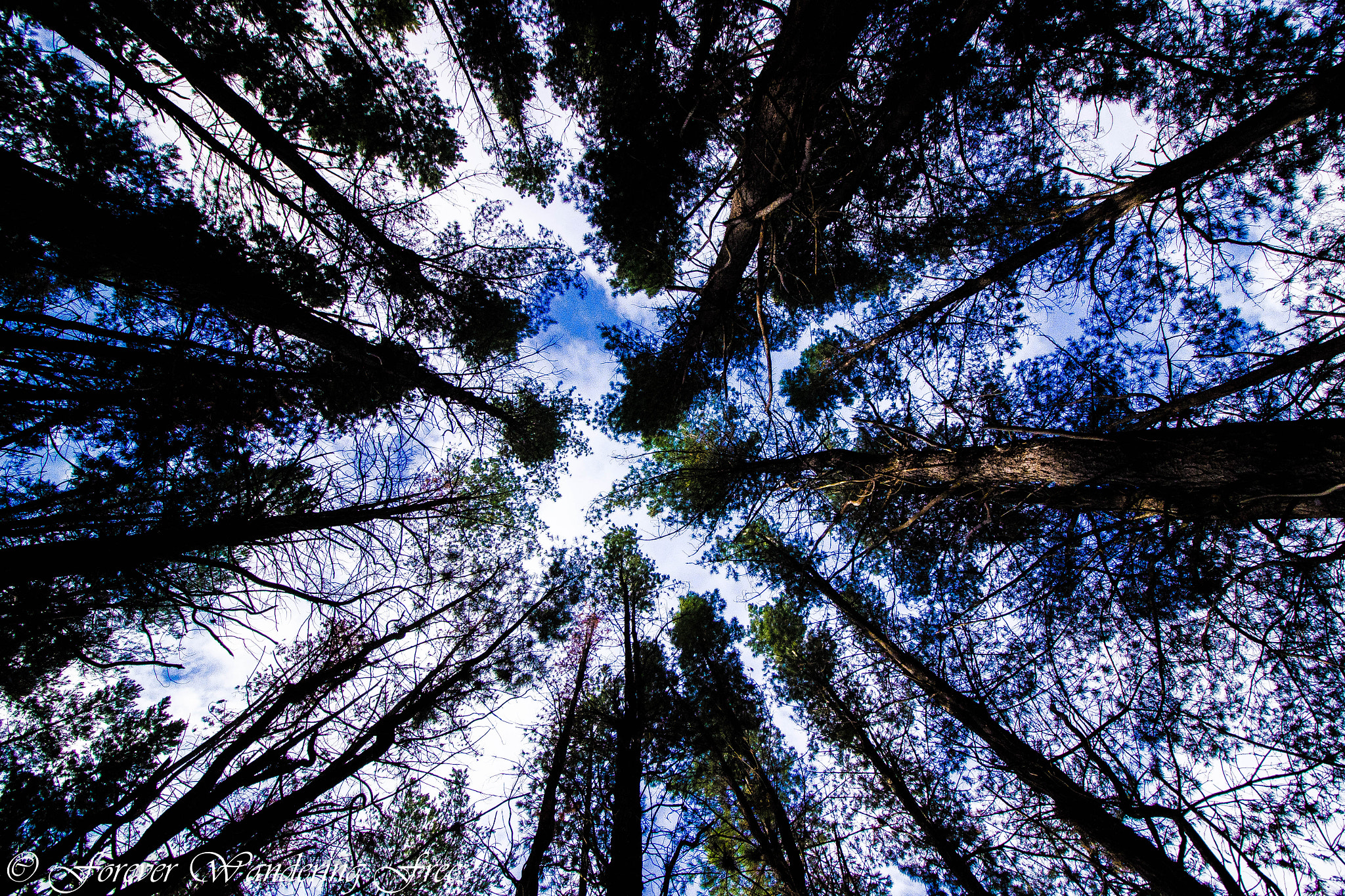 Canon EF-S 10-18mm F4.5–5.6 IS STM sample photo