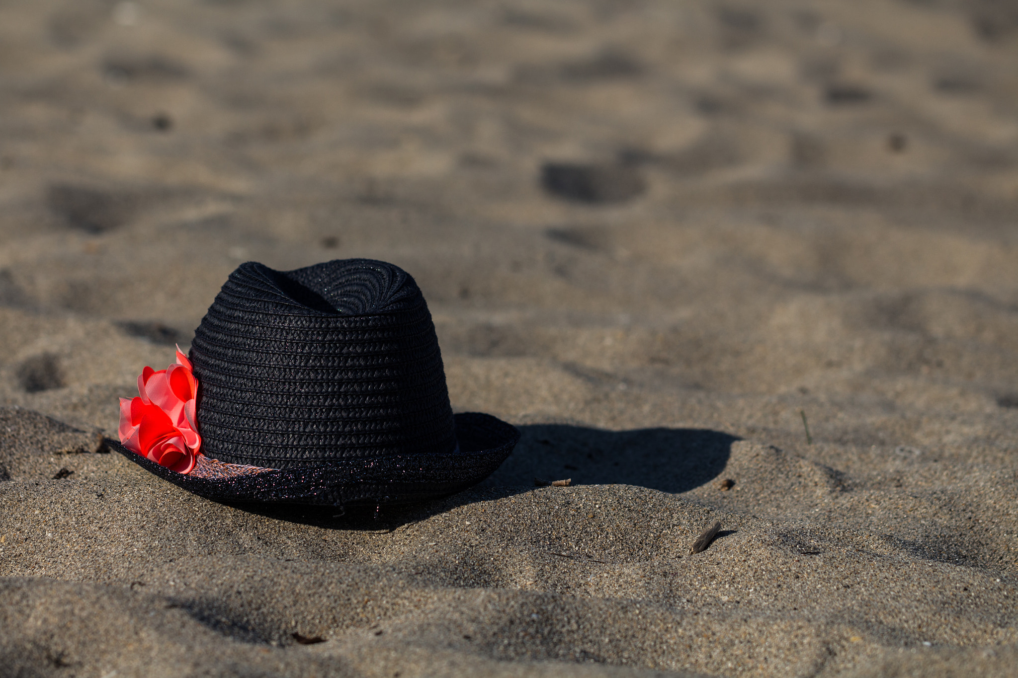 Canon EF 100mm F2.8L Macro IS USM sample photo. Black hat photography
