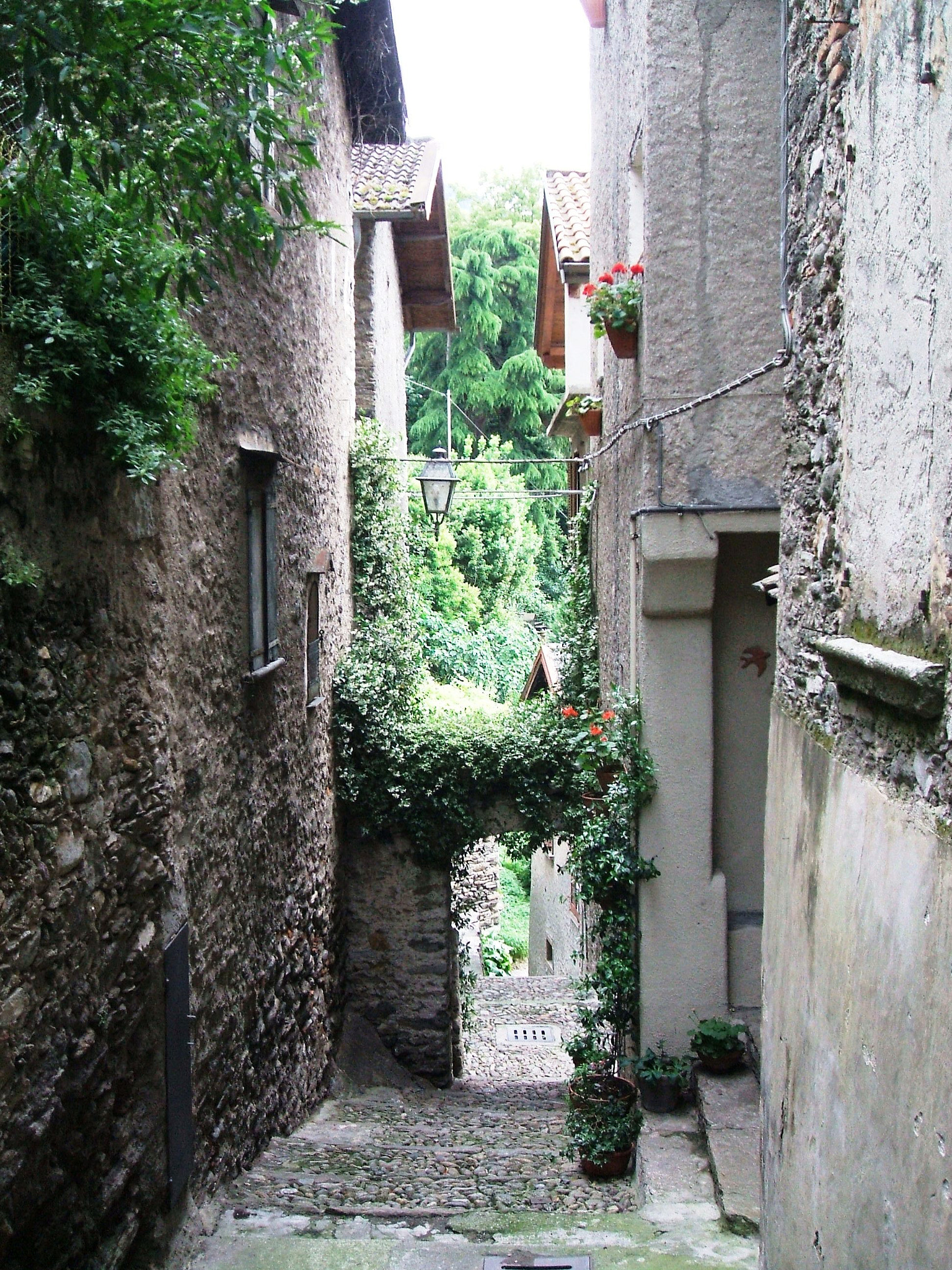 Fujifilm FinePix A500 sample photo. Salire o scendere ??? photography