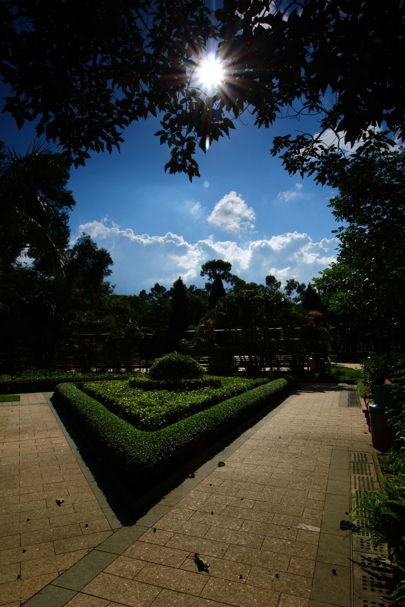 Canon EF-S 10-18mm F4.5–5.6 IS STM sample photo