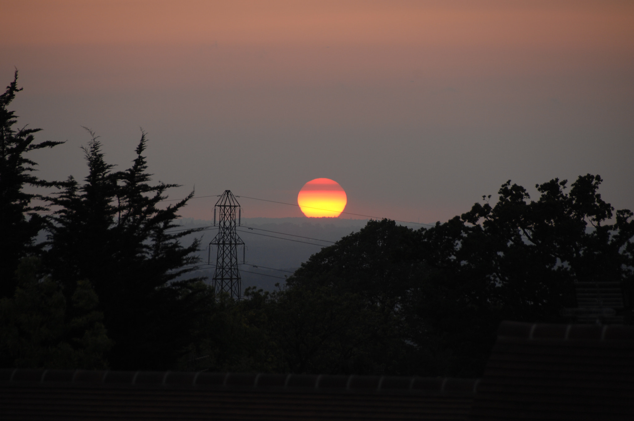 Nikon D2X sample photo
