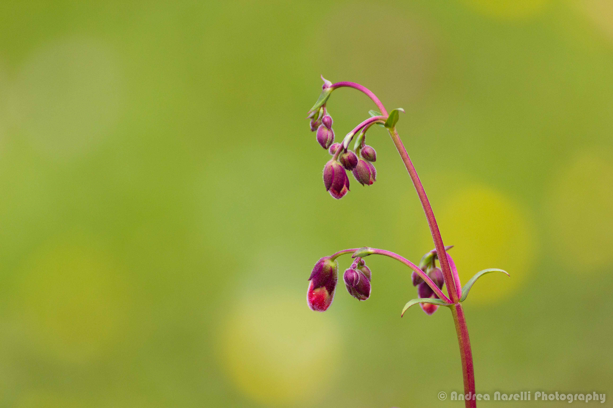 Tamron SP 35mm F1.8 Di VC USD sample photo. I'm coming photography