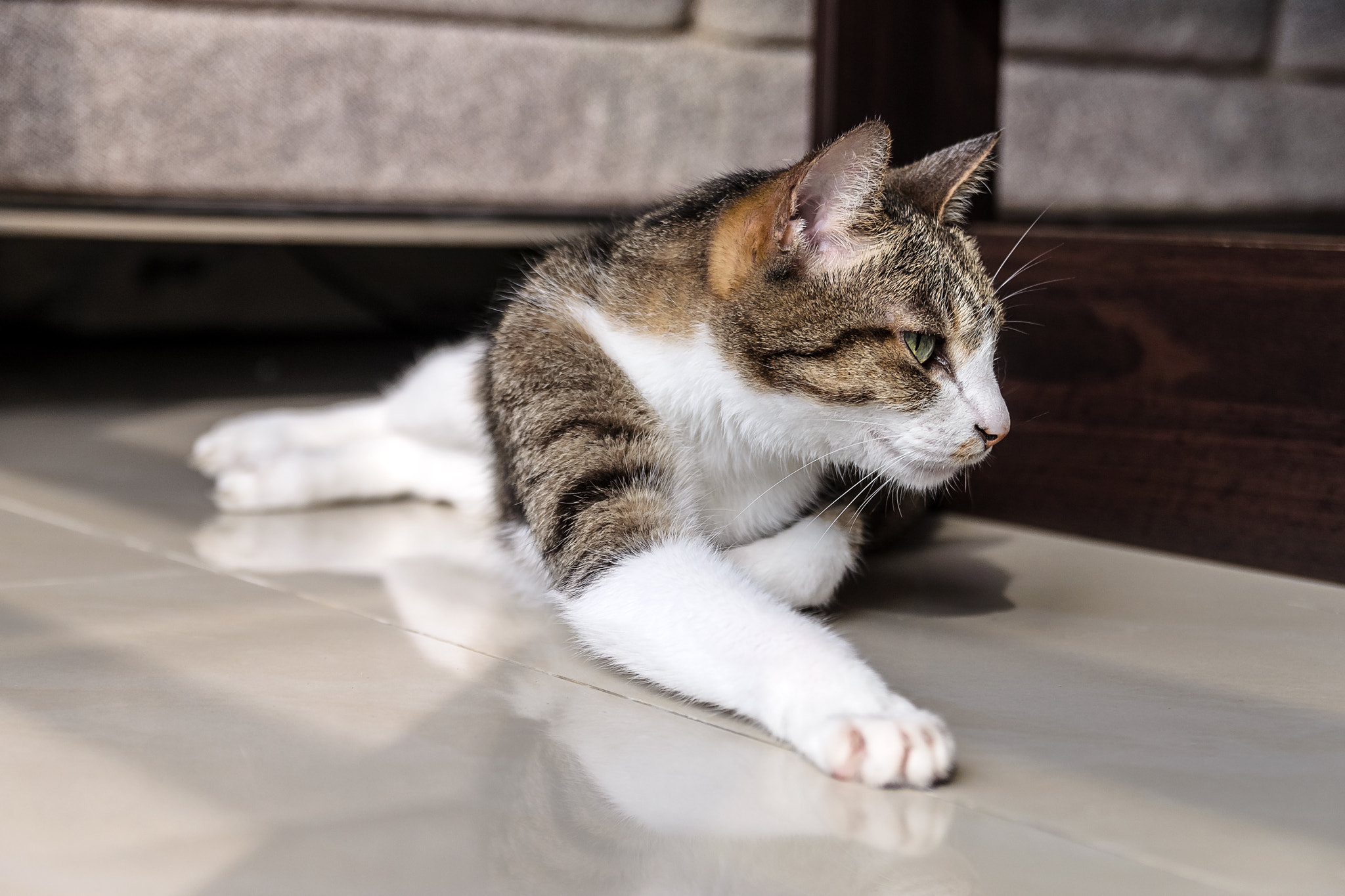 Sigma 18-50mm F2.8 EX DC Macro sample photo. Overbearing guy photography