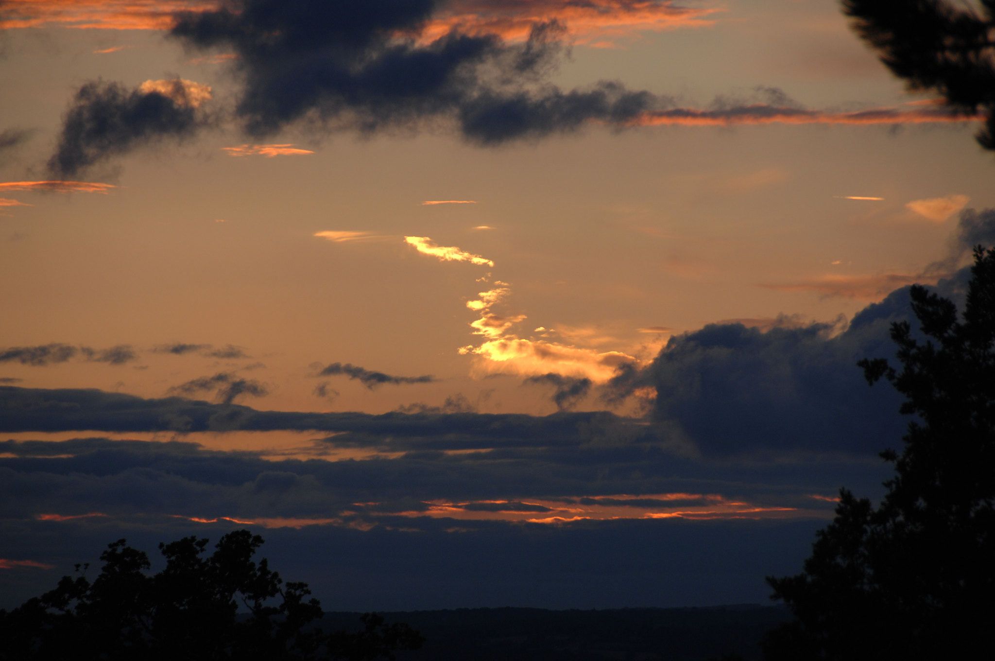 Nikon D2X sample photo