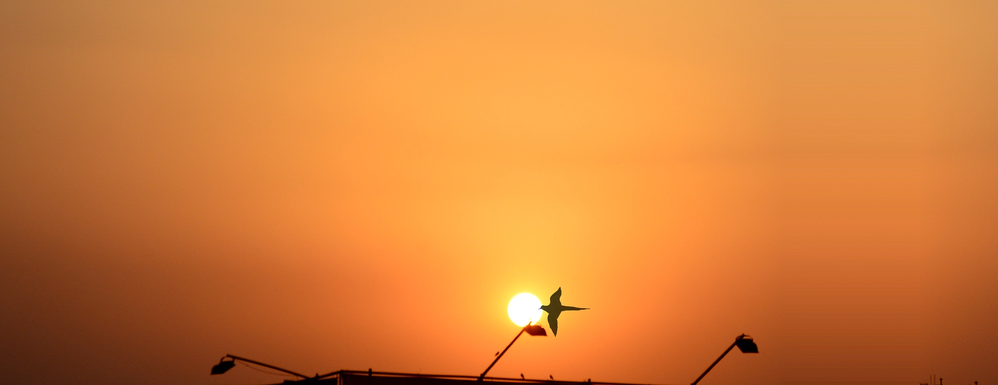 Sigma 150-500mm F5-6.3 DG OS HSM sample photo. Do not start your day with the broken pieces of ye ... photography