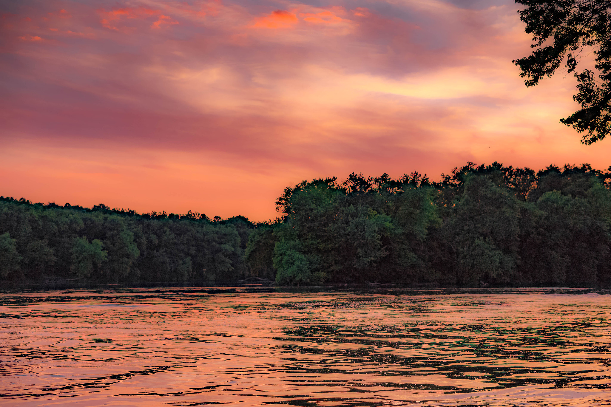 Canon EOS 6D + ZEISS Milvus 50mm F1.4 sample photo. Potomac river at sunset photography