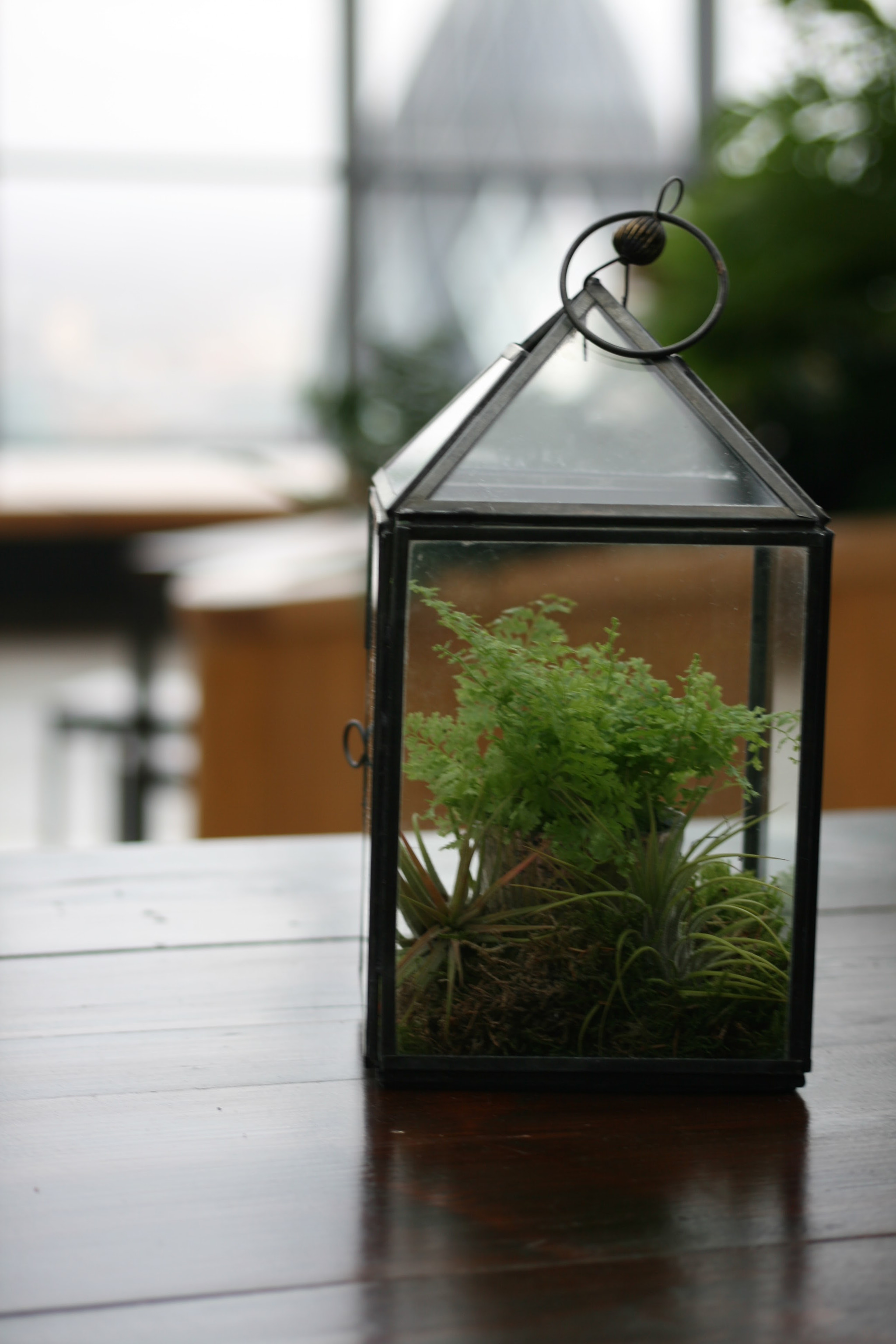 Sigma 55-200mm f/4-5.6 DC sample photo