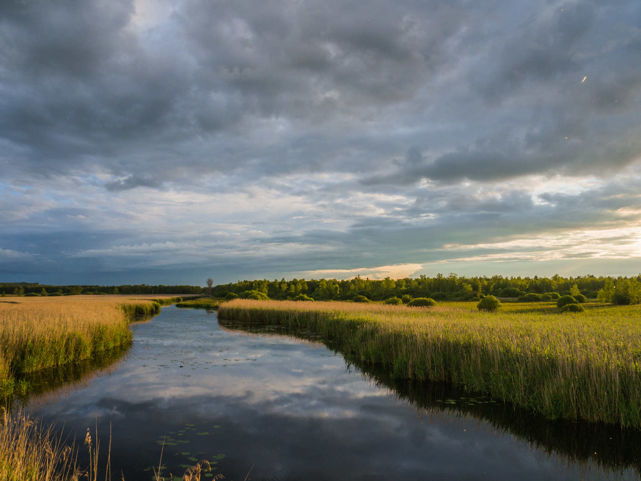 OLYMPUS M.14-150mm F4.0-5.6 II sample photo. Federsee photography