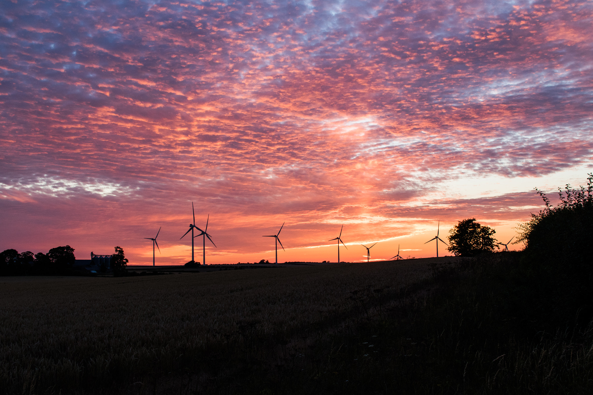 Sigma 30mm F1.4 EX DC HSM sample photo. When the wind blows photography