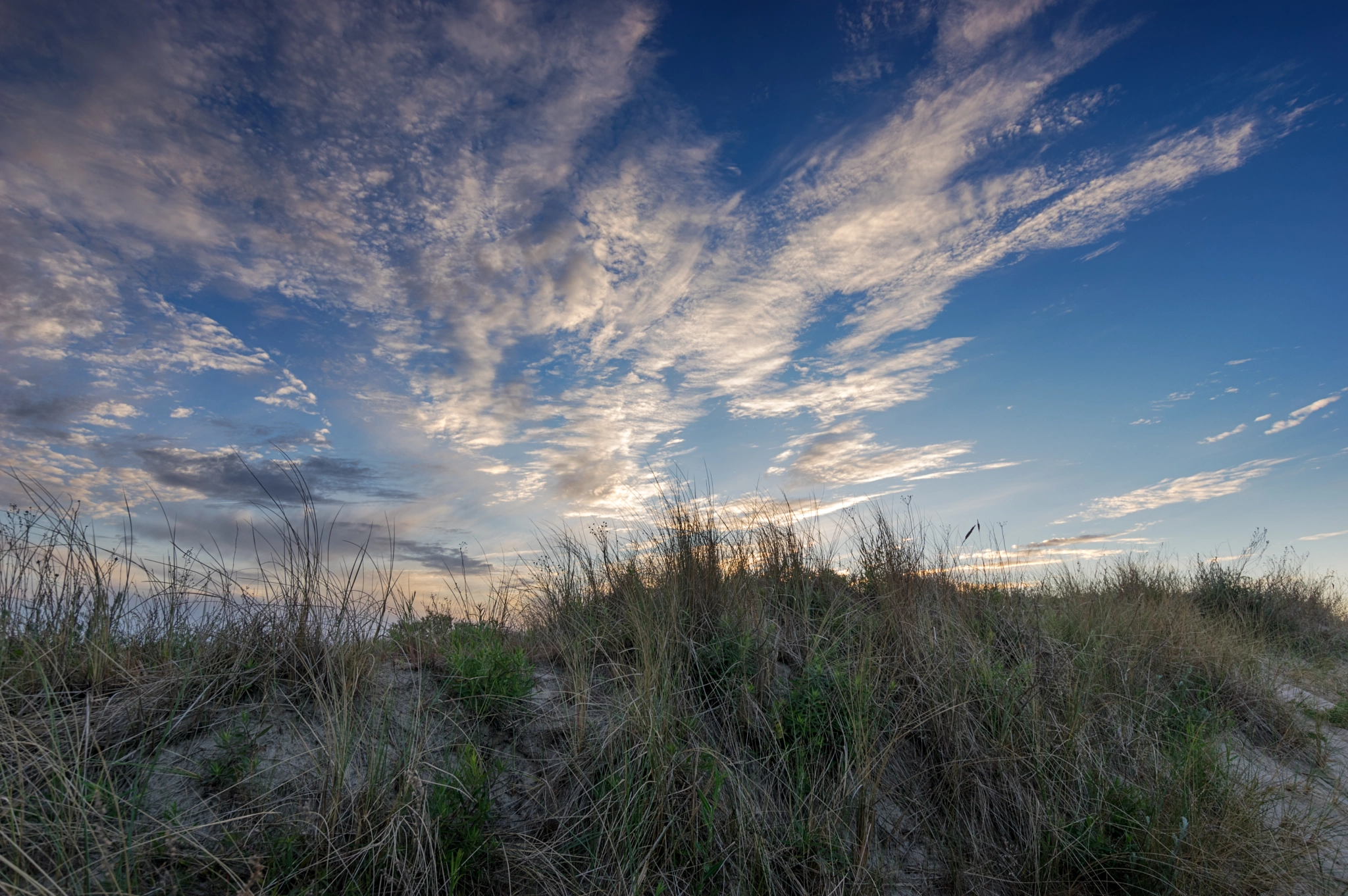 Sigma 10-20mm F3.5 EX DC HSM sample photo. Evening beach dune photography