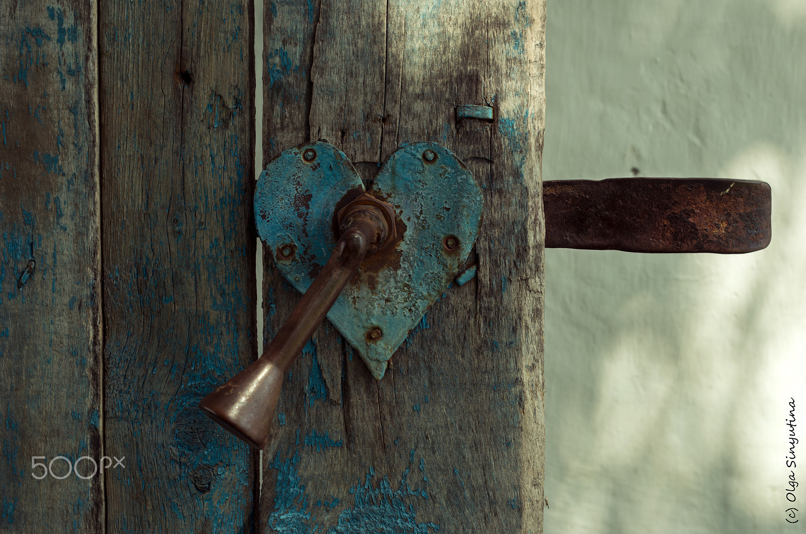 Pentax K-5 IIs + A Series Lens sample photo. Detail photography